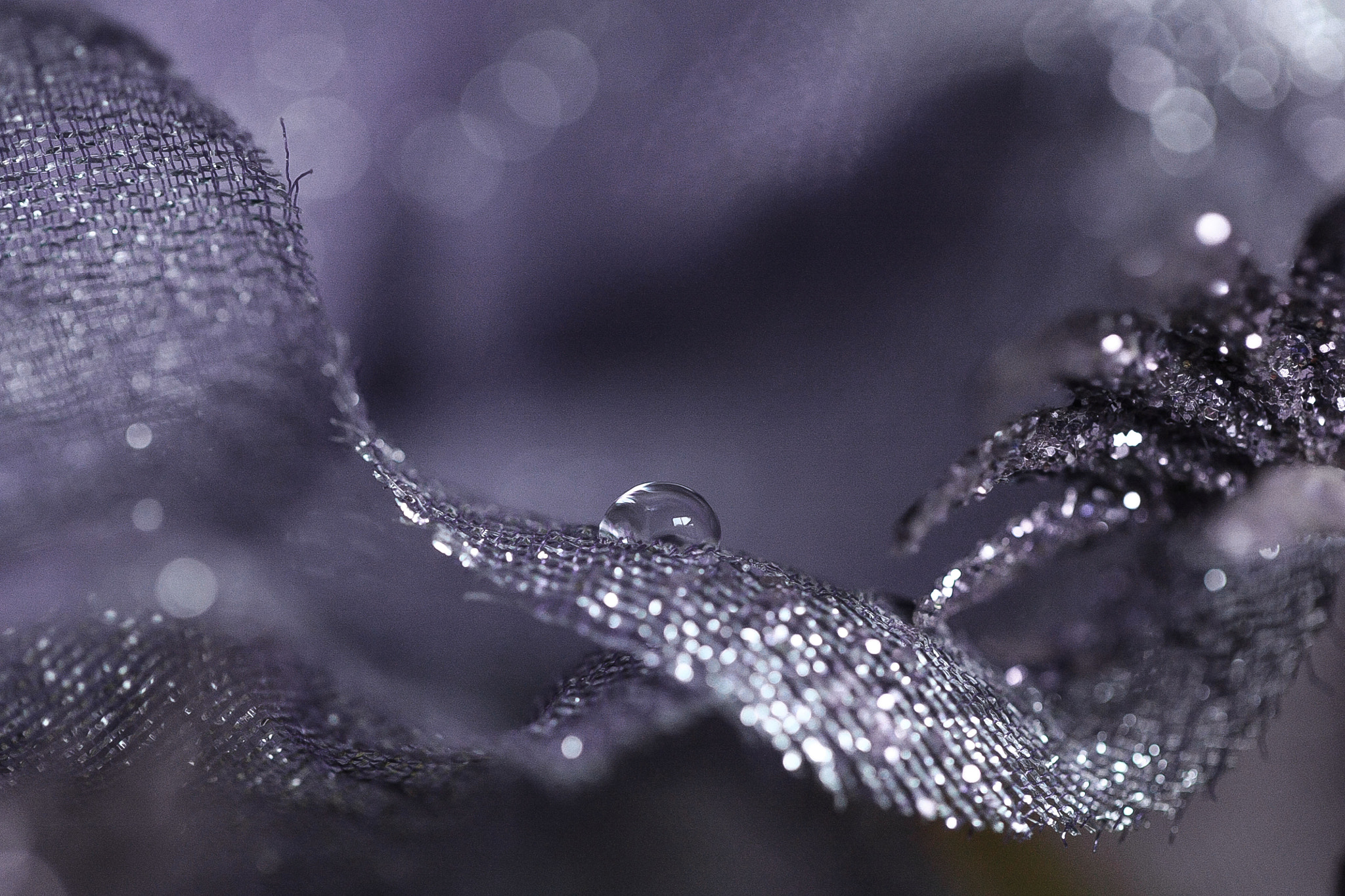 Canon EF 100mm F2.8L Macro IS USM sample photo. Img photography