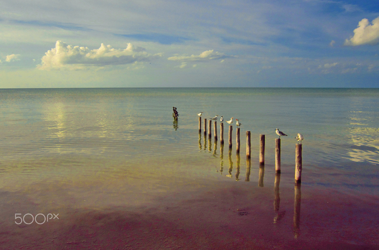 Canon PowerShot A3300 IS sample photo. Islaholbox mexico() photography