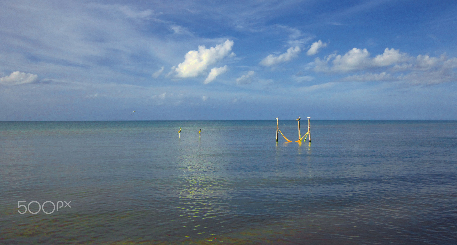 Canon PowerShot A3300 IS sample photo. Islaholbox mexico() photography