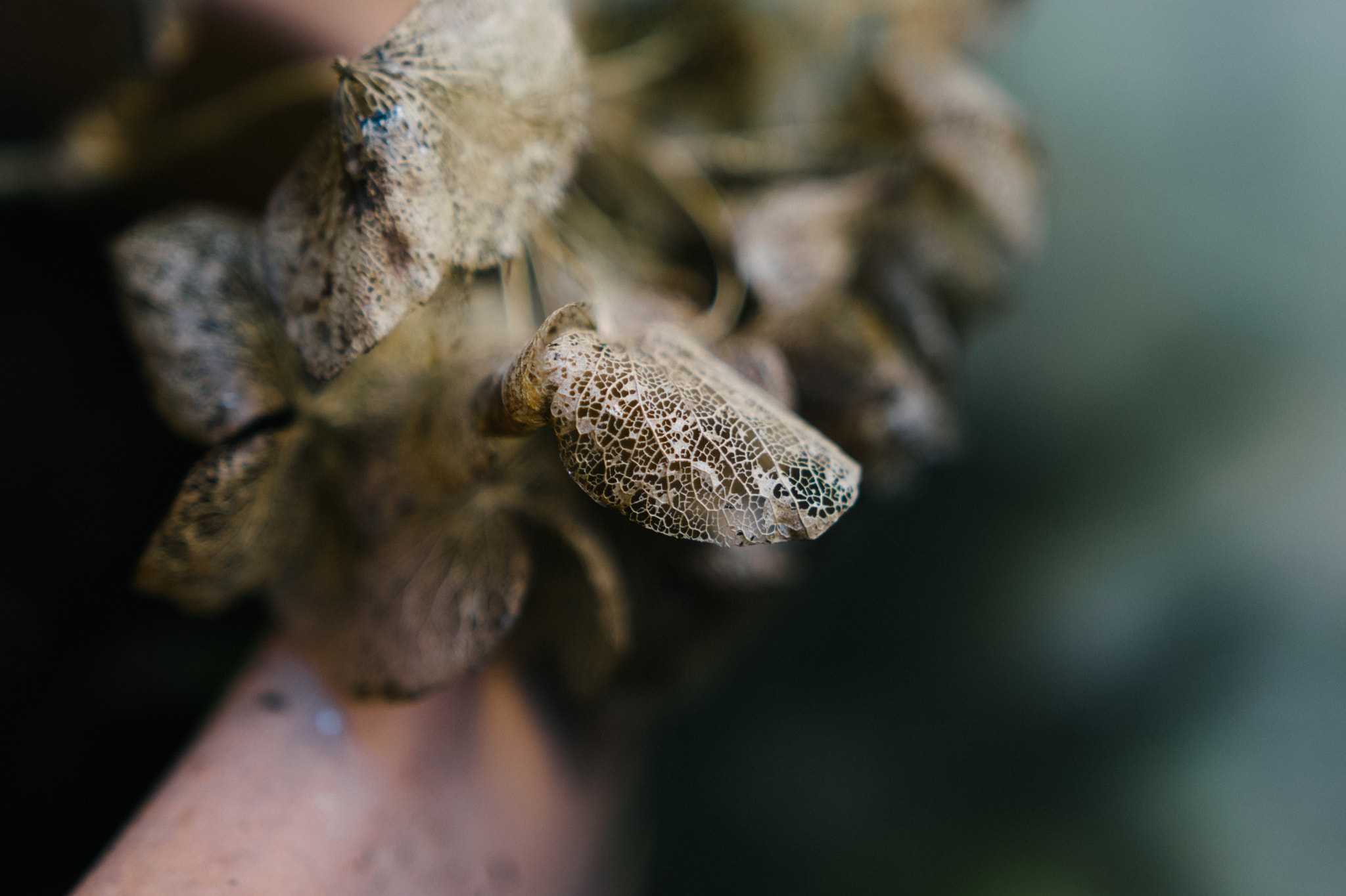 Nikon D5300 + Sigma 18-35mm F1.8 DC HSM Art sample photo
