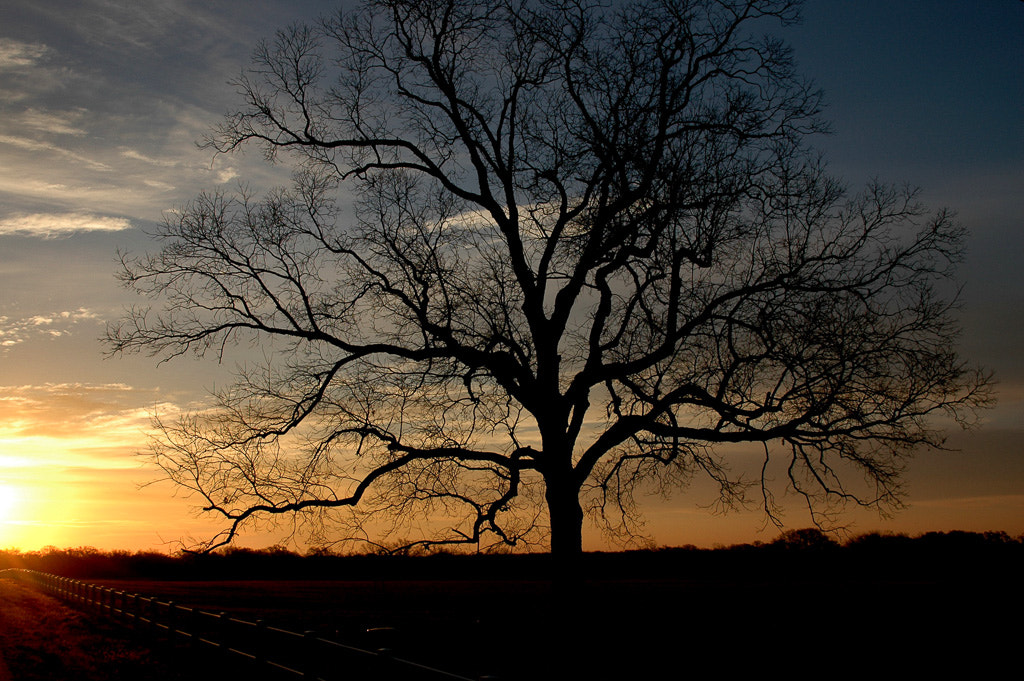 AF Zoom-Nikkor 28-200mm f/3.5-5.6G IF-ED sample photo. Texas sunrise photography