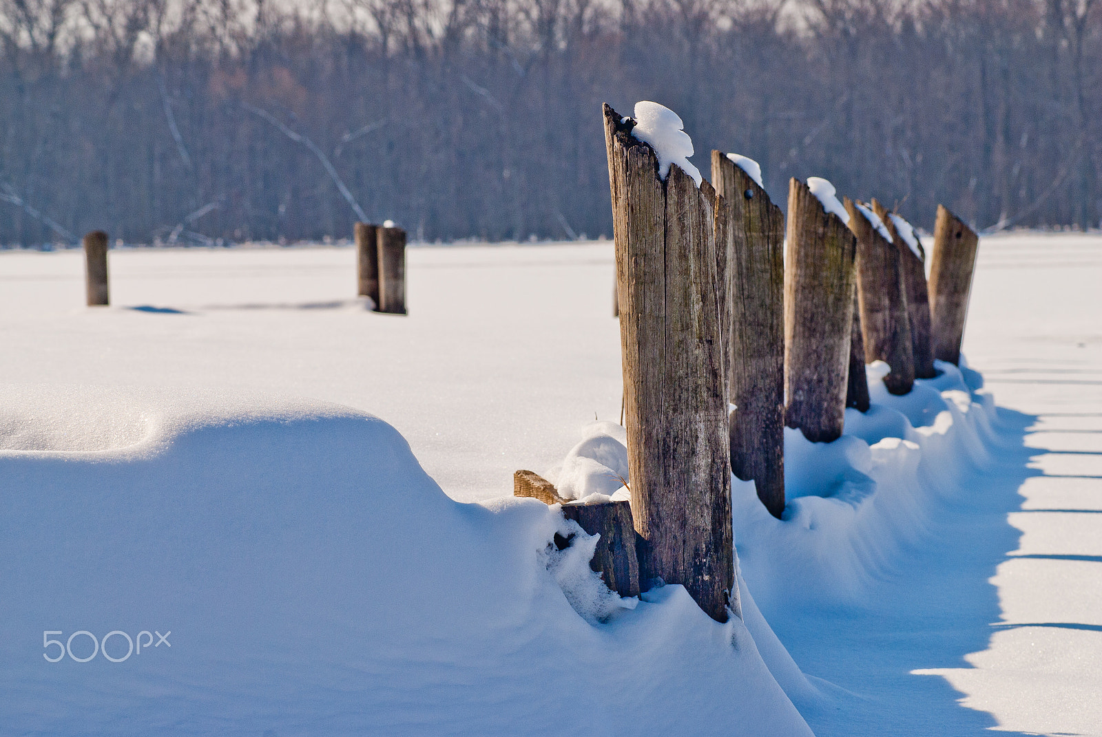 Nikon D200 sample photo. Frozen creve coeur lake photography