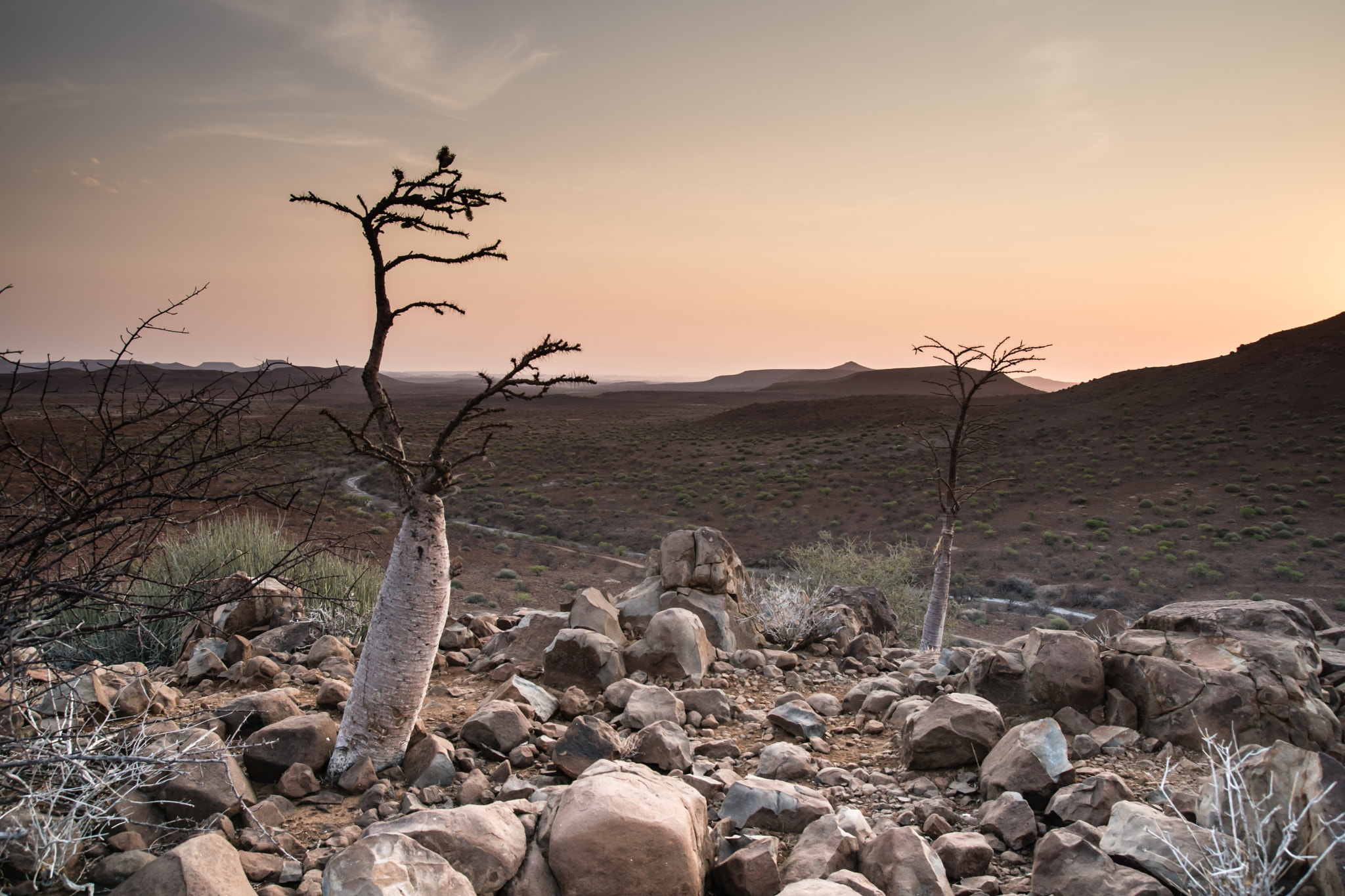 Sony ILCA-77M2 sample photo. Etendeka mountain camp photography