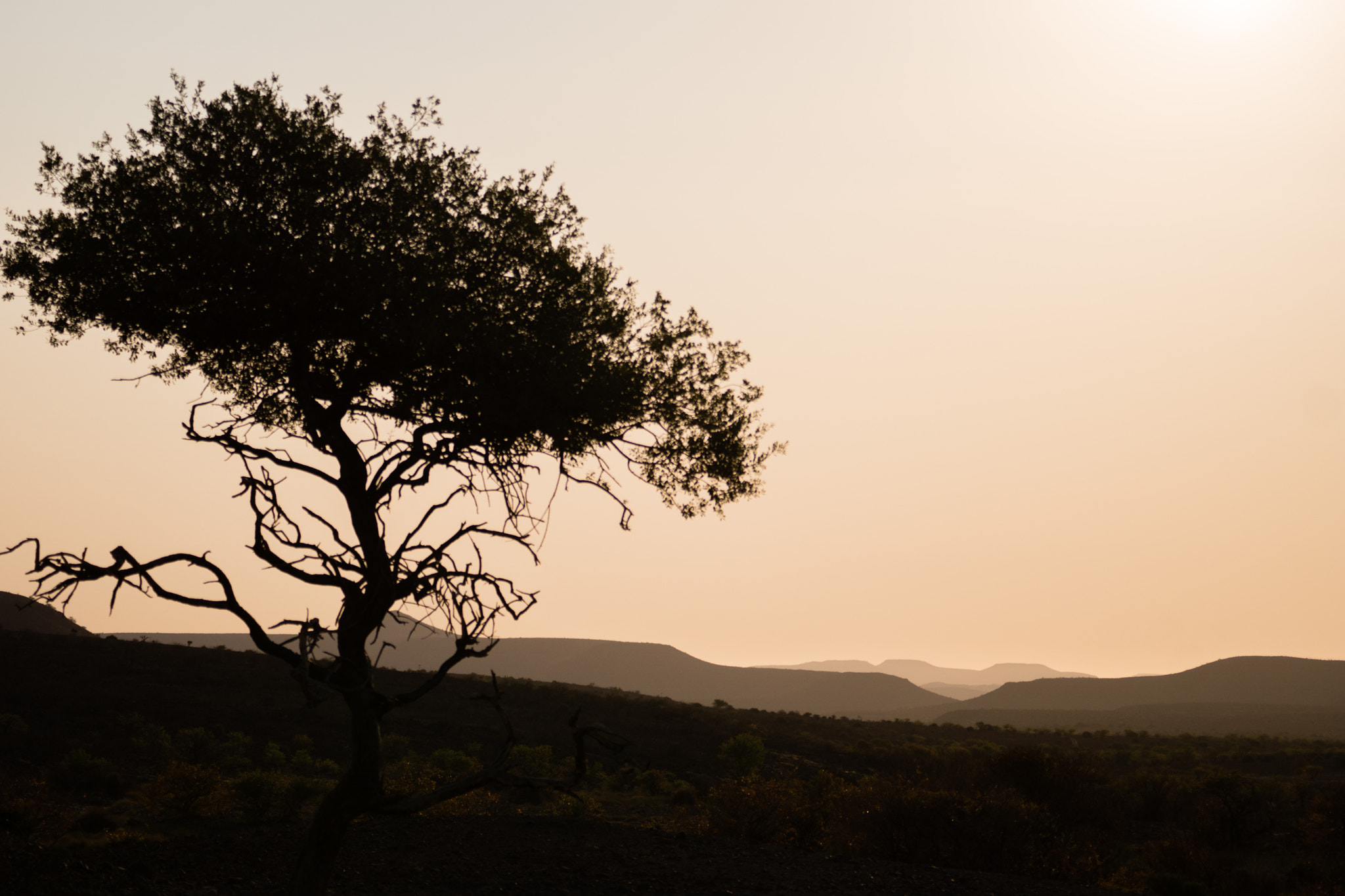 Sony 70-300mm F4.5-5.6 G SSM sample photo. Etendeka mountain camp photography