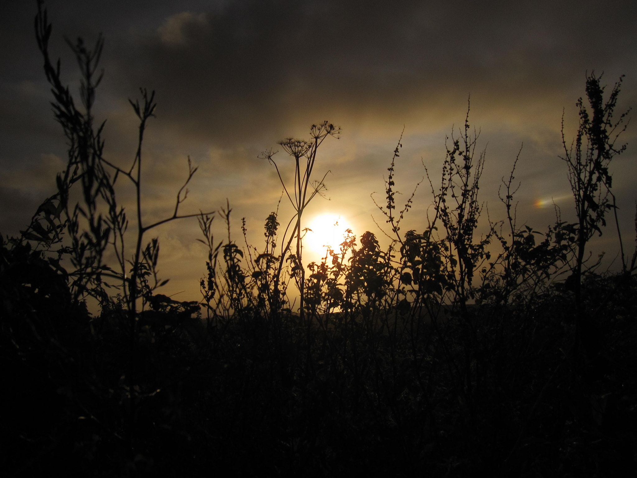 Canon PowerShot SD880 IS (Digital IXUS 870 IS / IXY Digital 920 IS) sample photo. Sunset in cornwall photography