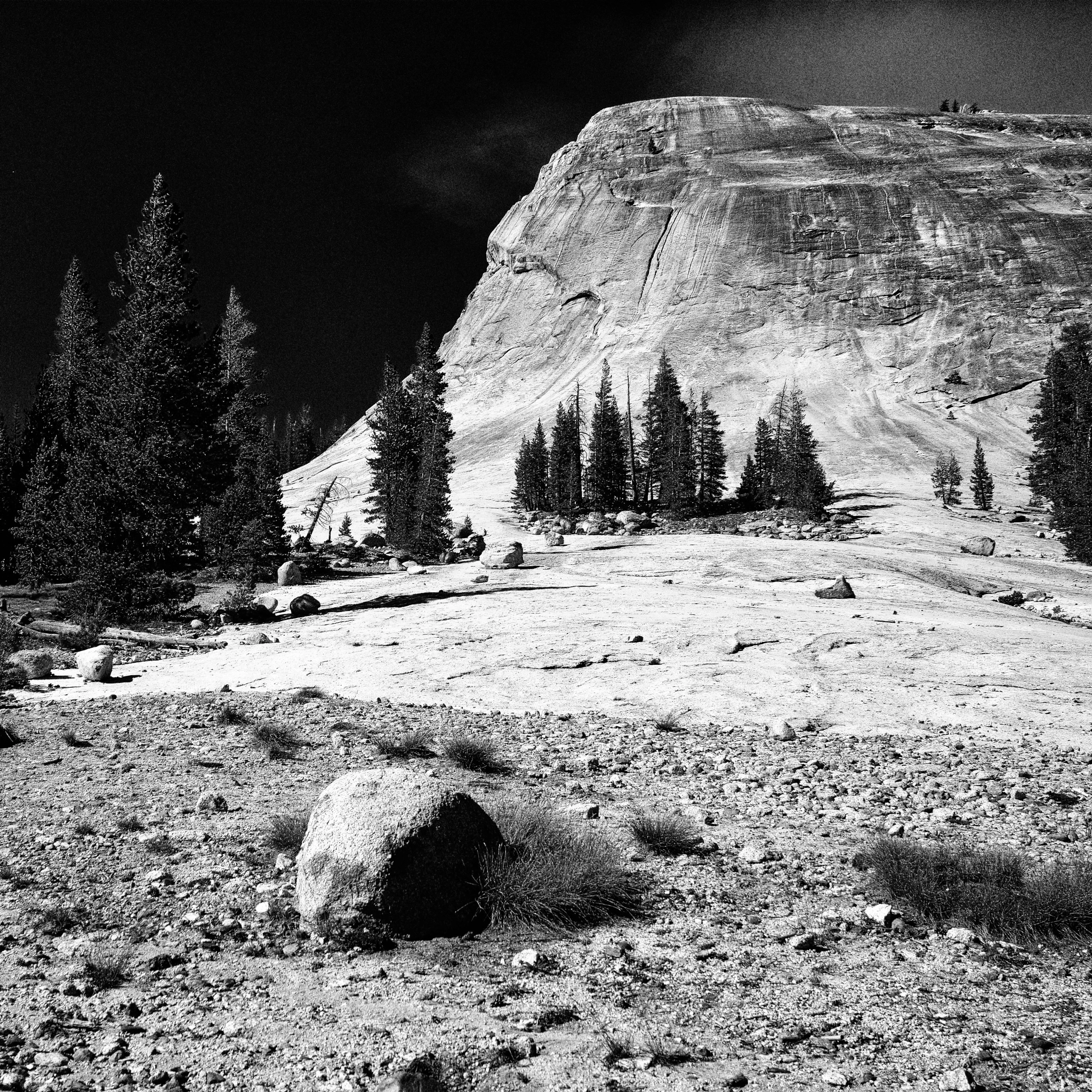 Sigma dp1 Quattro sample photo. Yosemite national park photography