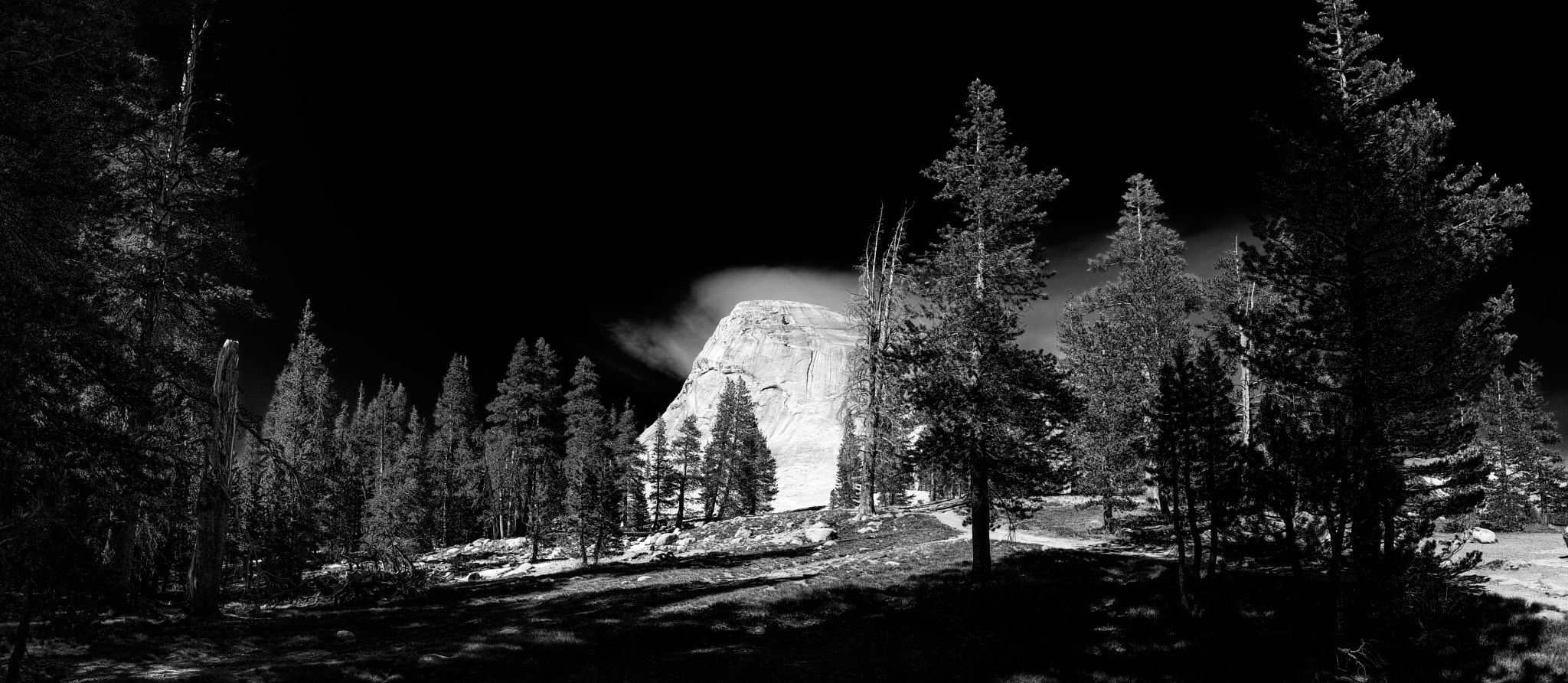 Sigma dp1 Quattro sample photo. Yosemite national park photography
