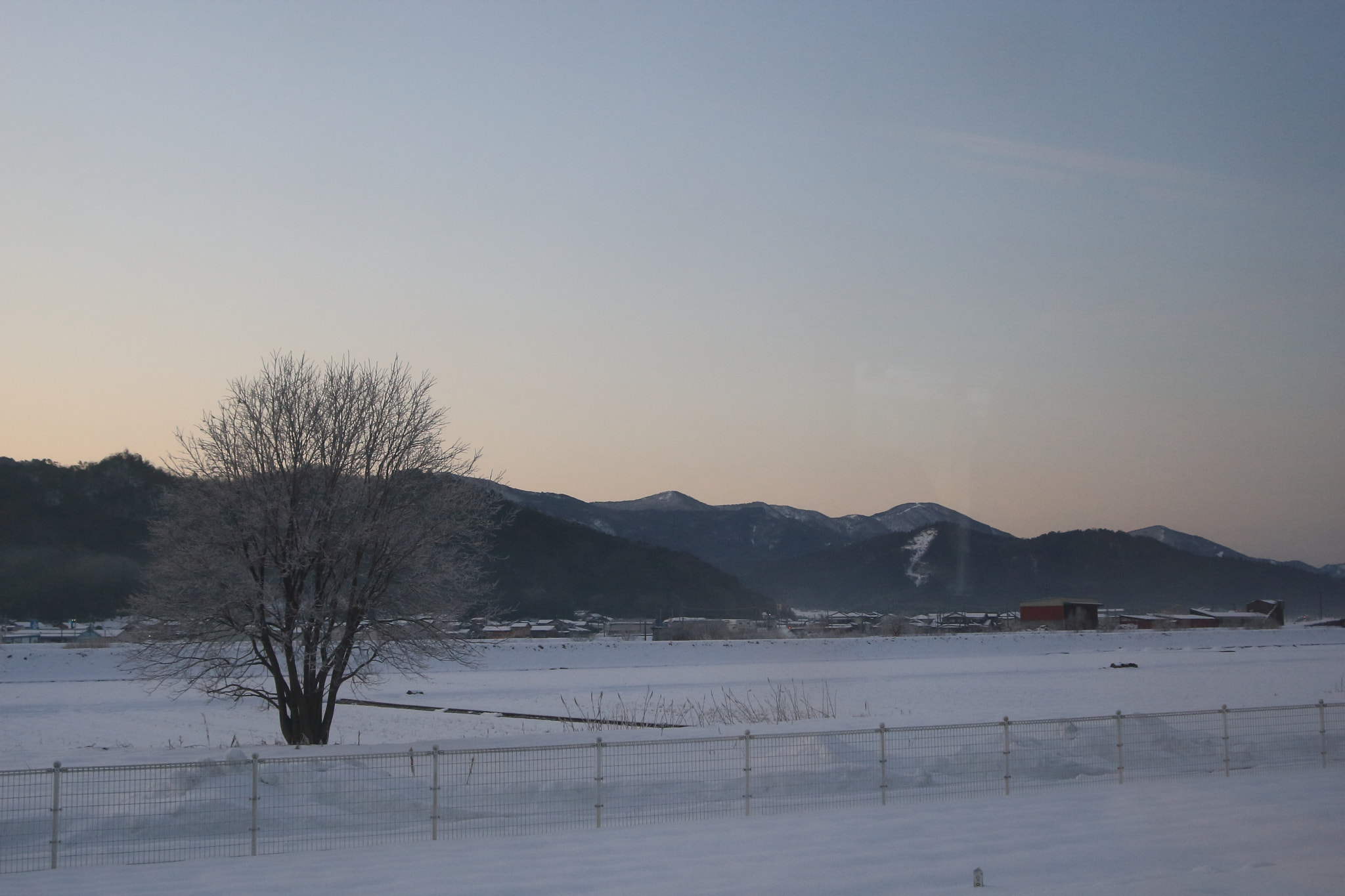 Canon EF 28-80mm f/3.5-5.6 USM sample photo. Field photography