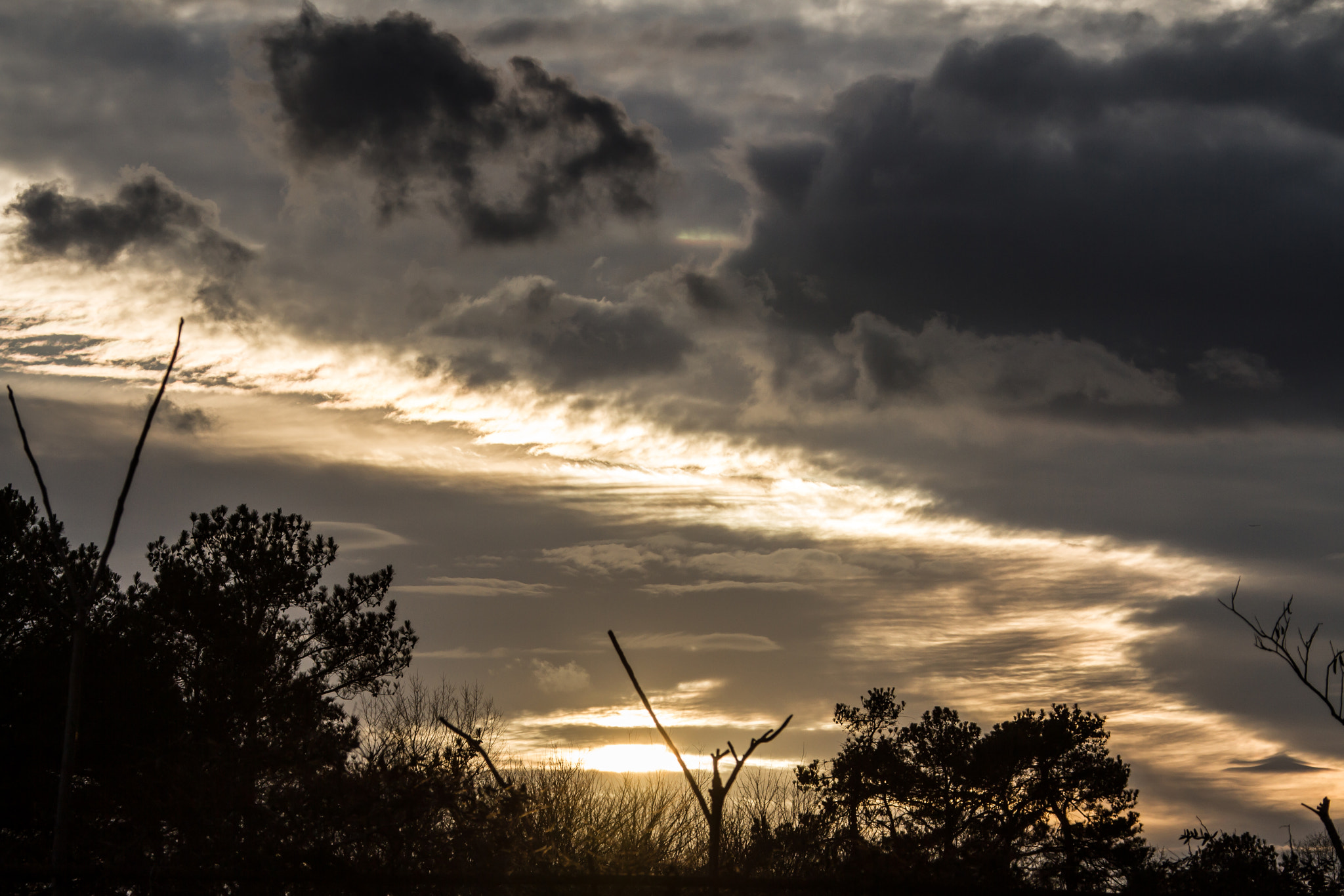 Canon EF 28-300mm F3.5-5.6L IS USM sample photo. Brilliant photography
