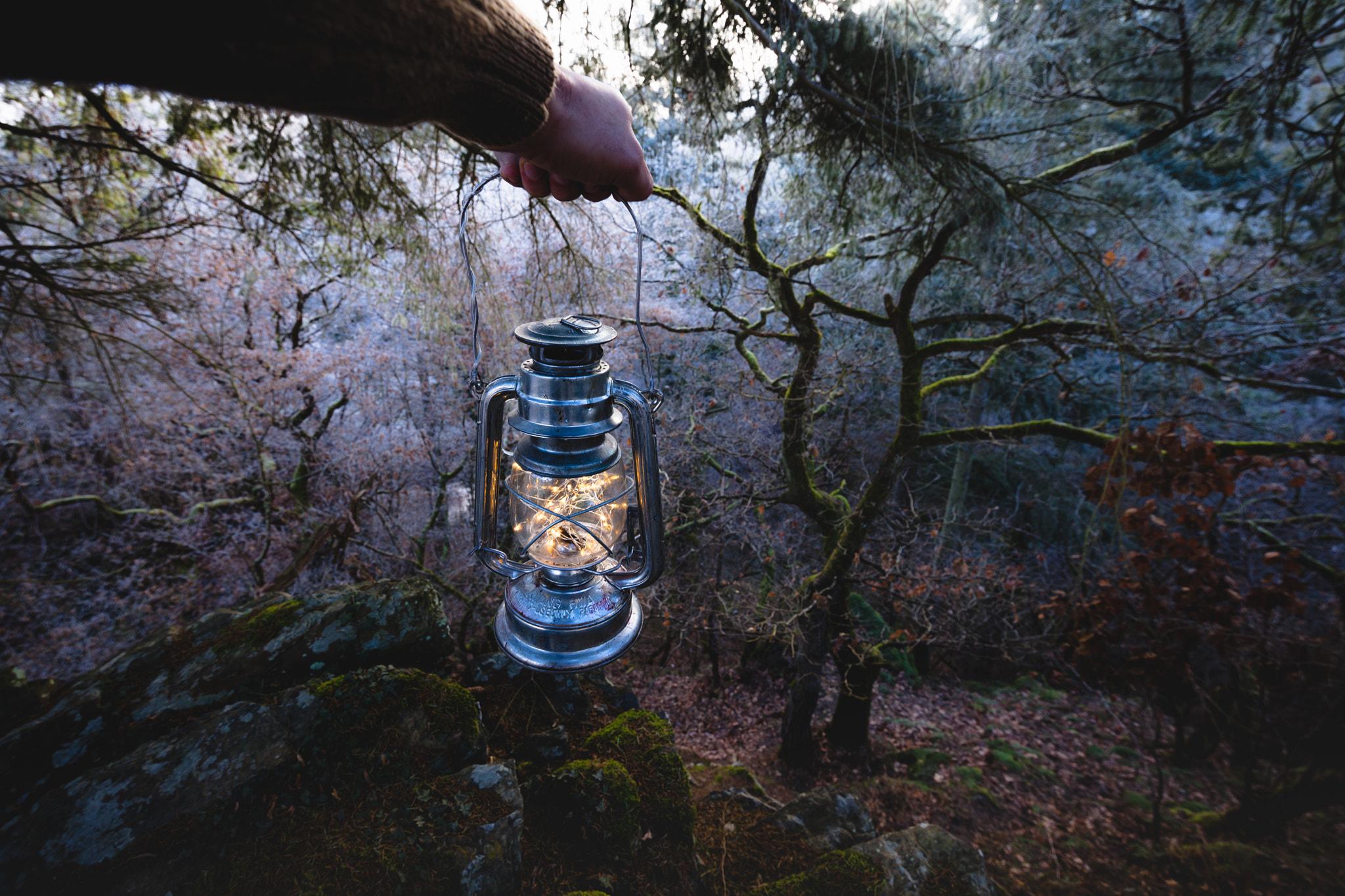Canon EF 300mm f/2.8L sample photo. Deep in the woods photography