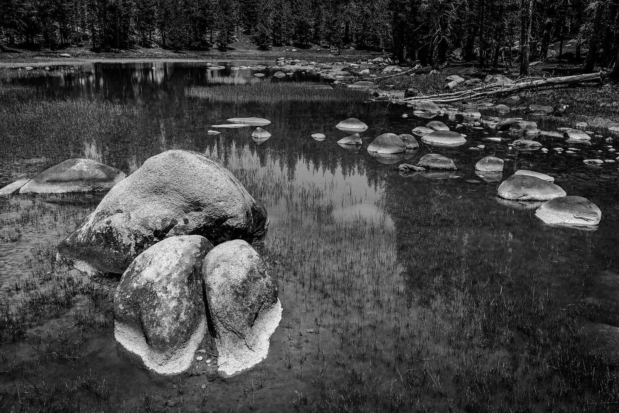 Sigma dp1 Quattro sample photo. Yosemite national park photography