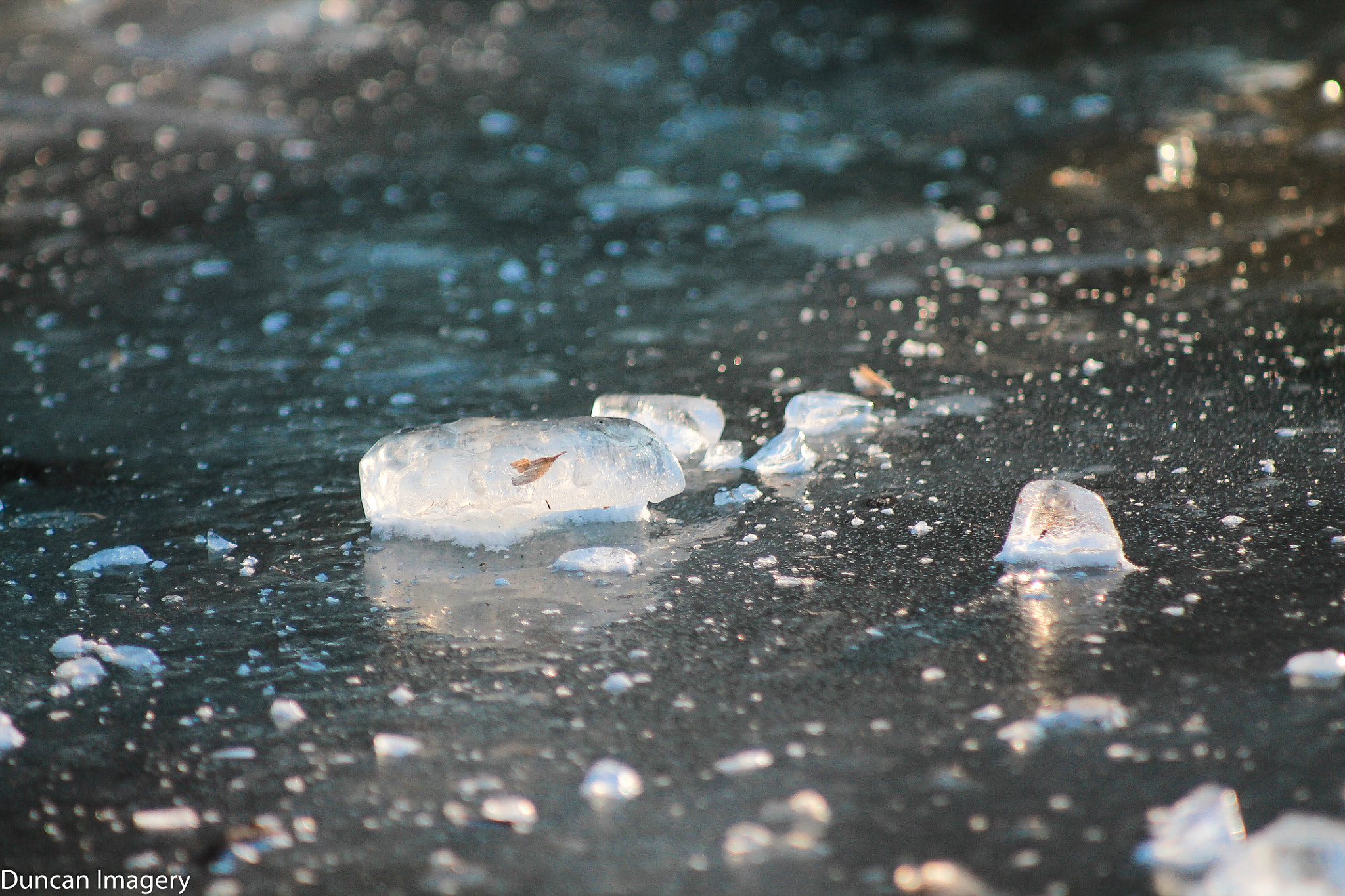 Canon EF 80-200mm F4.5-5.6 II sample photo. Frozen photography