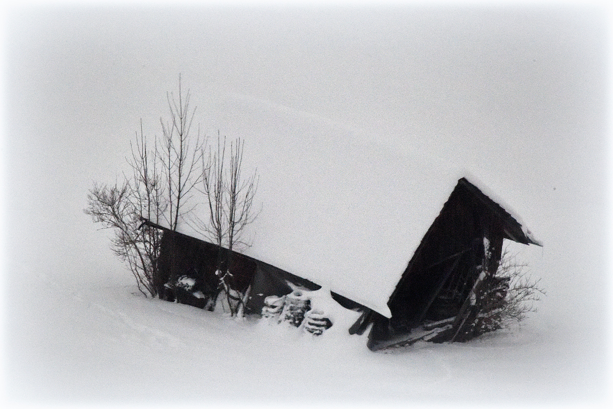 Nikon D810 sample photo. "lost in snow" photography