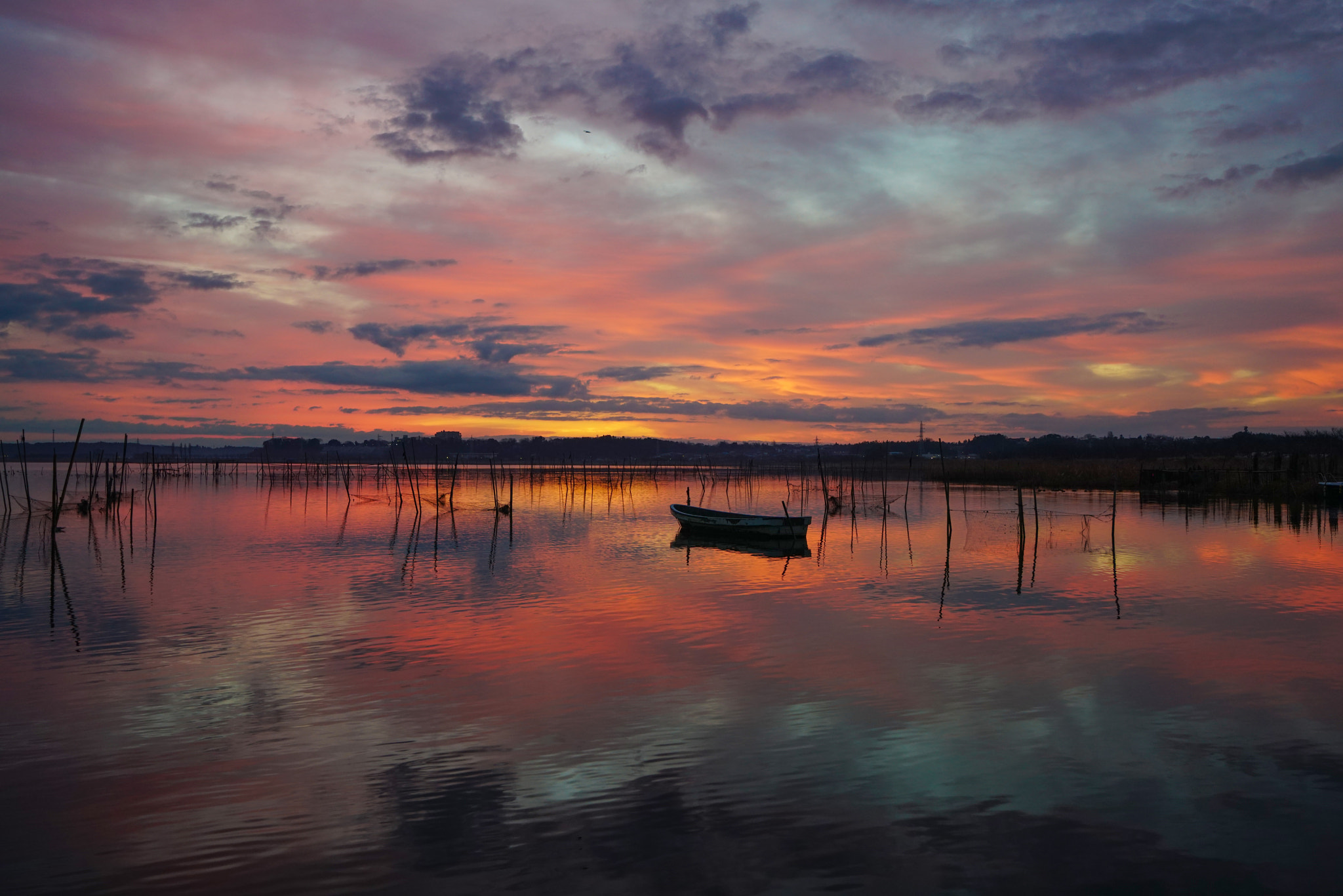 Sony a99 II + Sony Vario-Sonnar T* 16-35mm F2.8 ZA SSM sample photo. Beginning photography