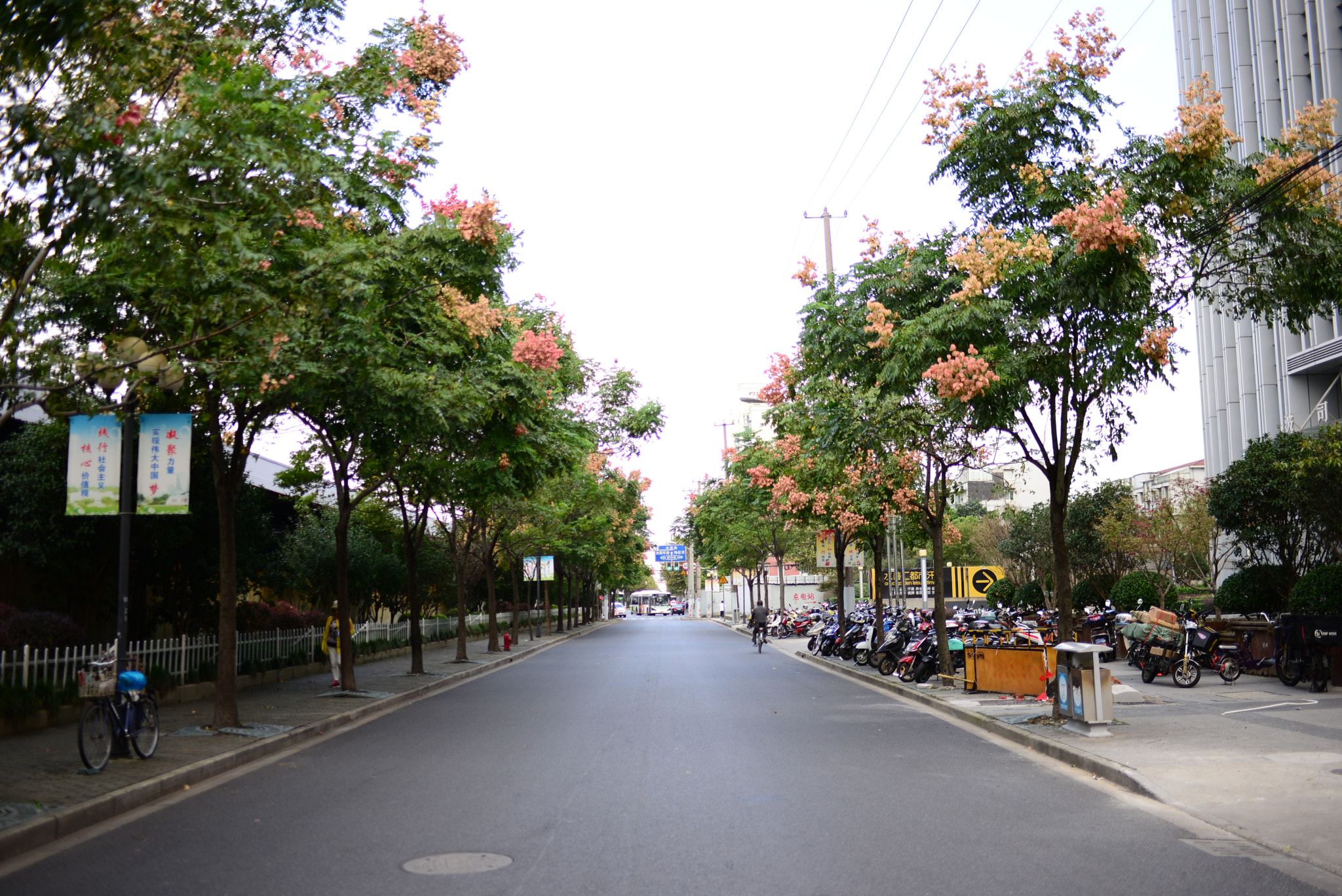 Nikon D610 + Nikon AF-S Nikkor 35mm F1.8G ED sample photo. 门口那条小路 photography