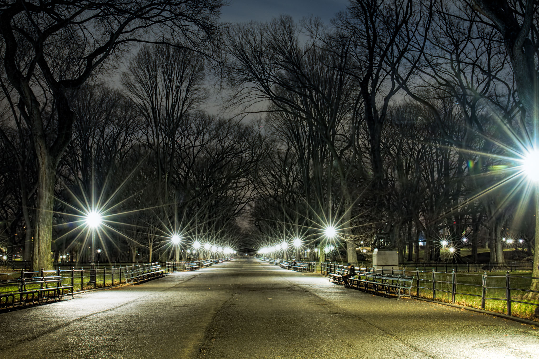 Canon EOS 7D sample photo. An evening stroll in central park photography