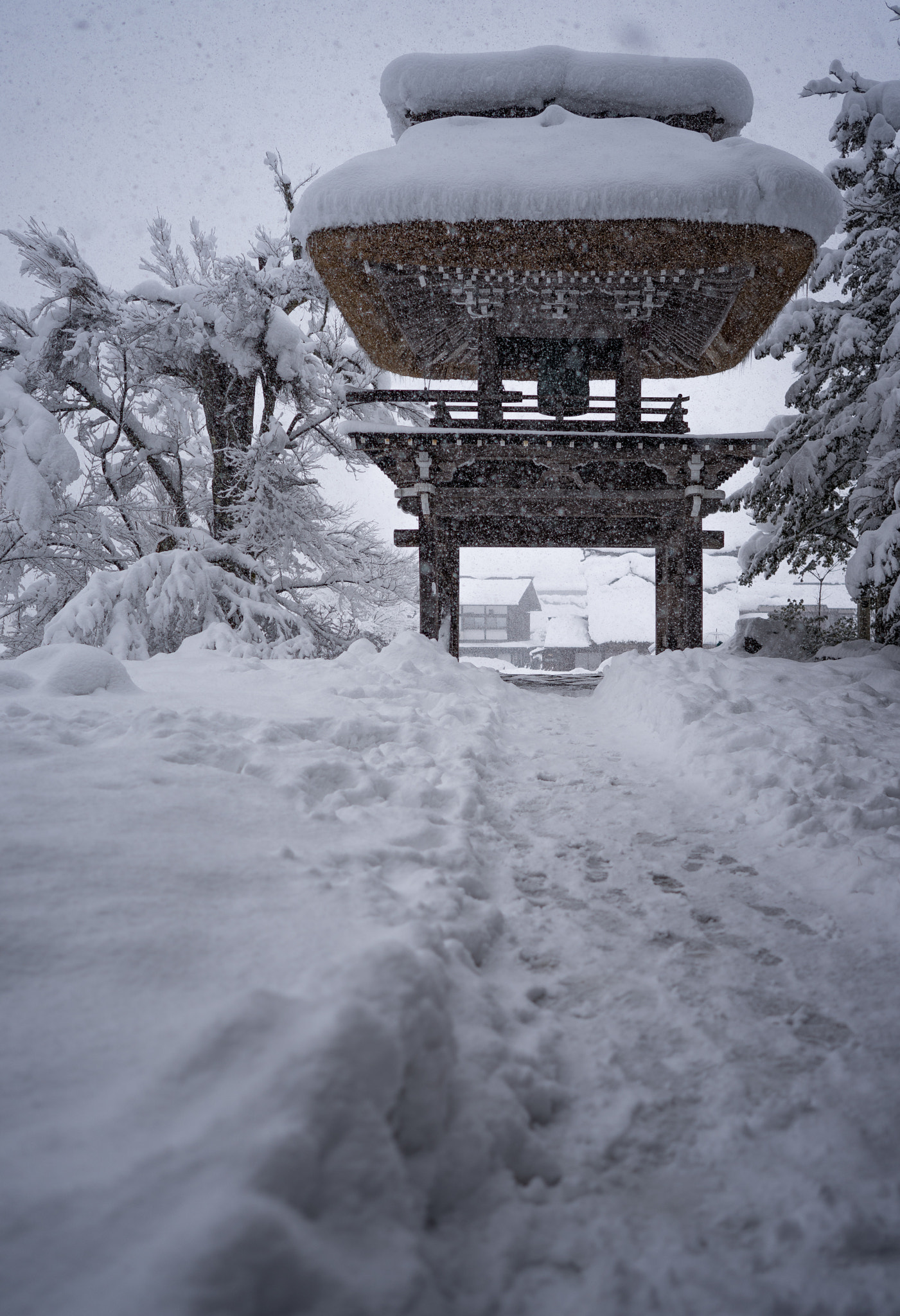 ZEISS Batis 25mm F2 sample photo. Myozen-ji temple photography