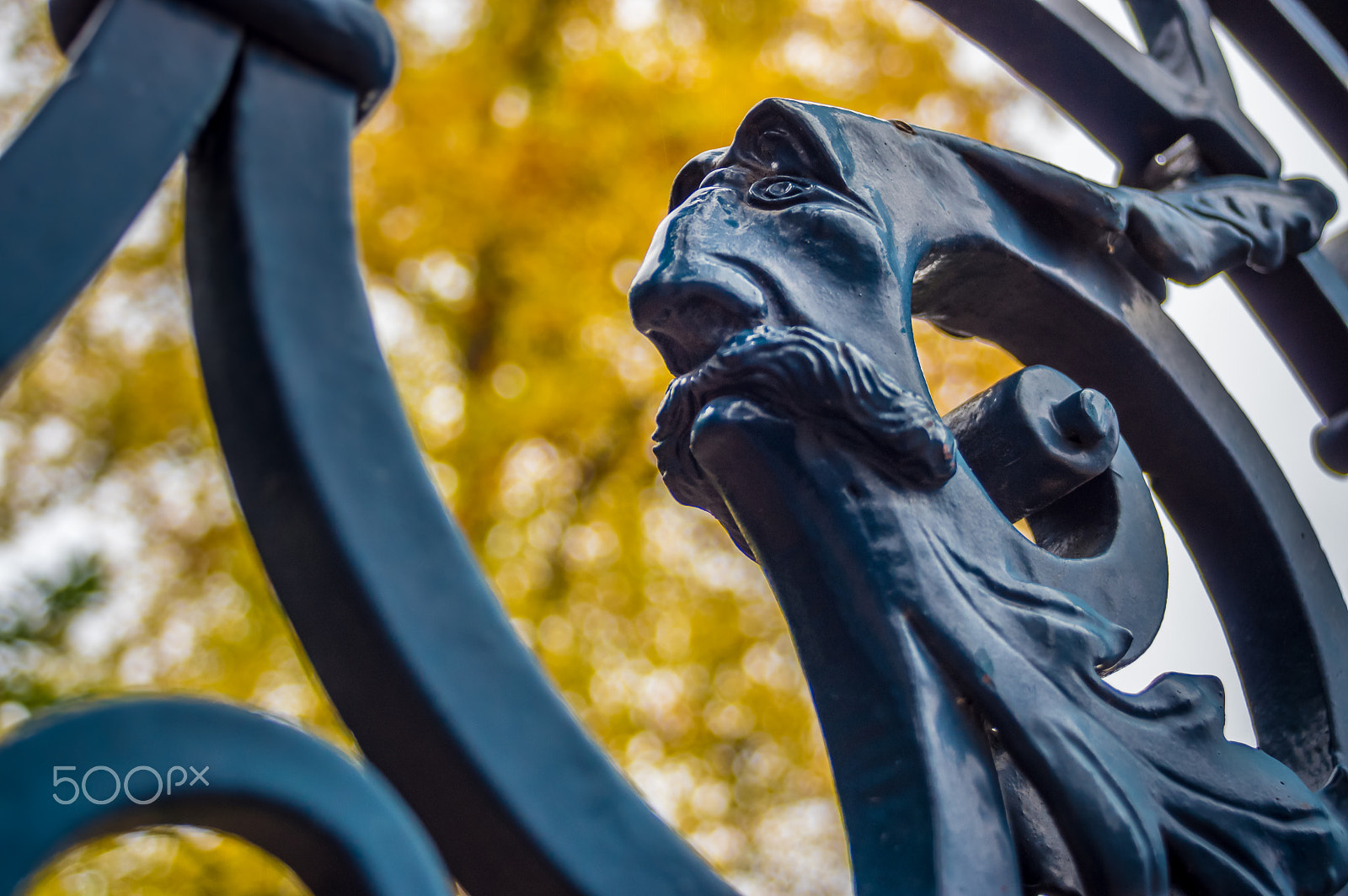 smc PENTAX-F 35-70mm F3.5-4.5 sample photo. Face in the fence photography