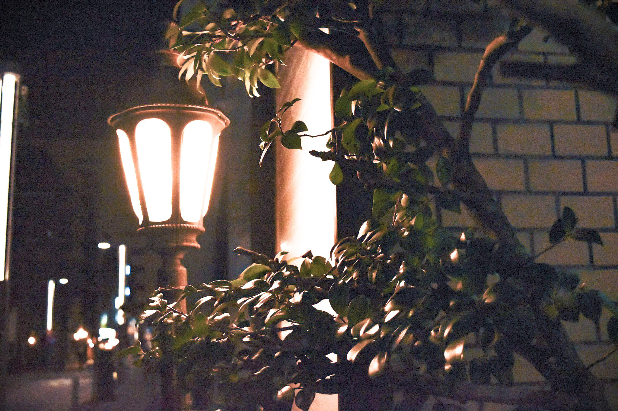 Nikon D5500 sample photo
