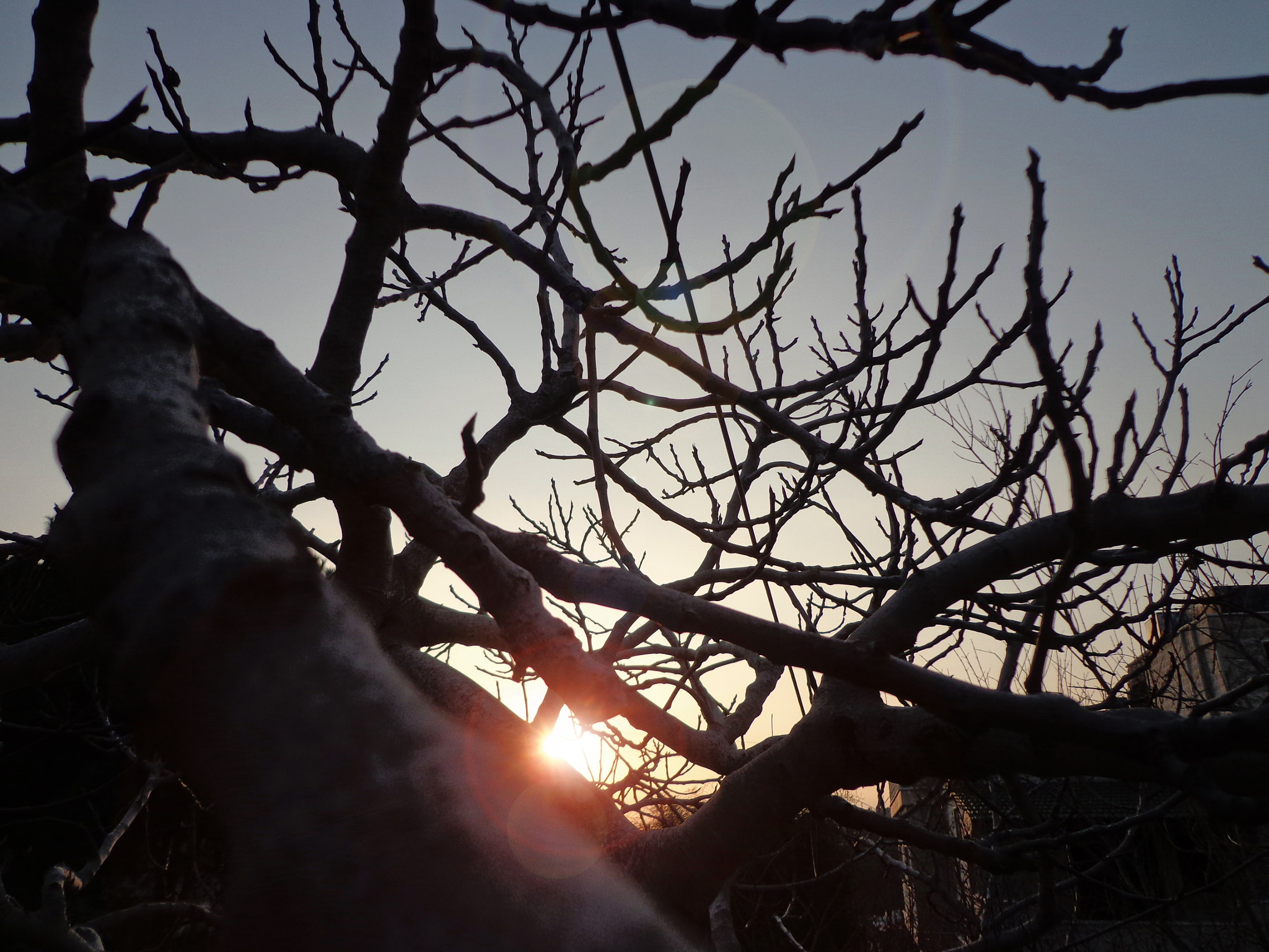 Sony DSC-W630 sample photo. Sundown in the town photography