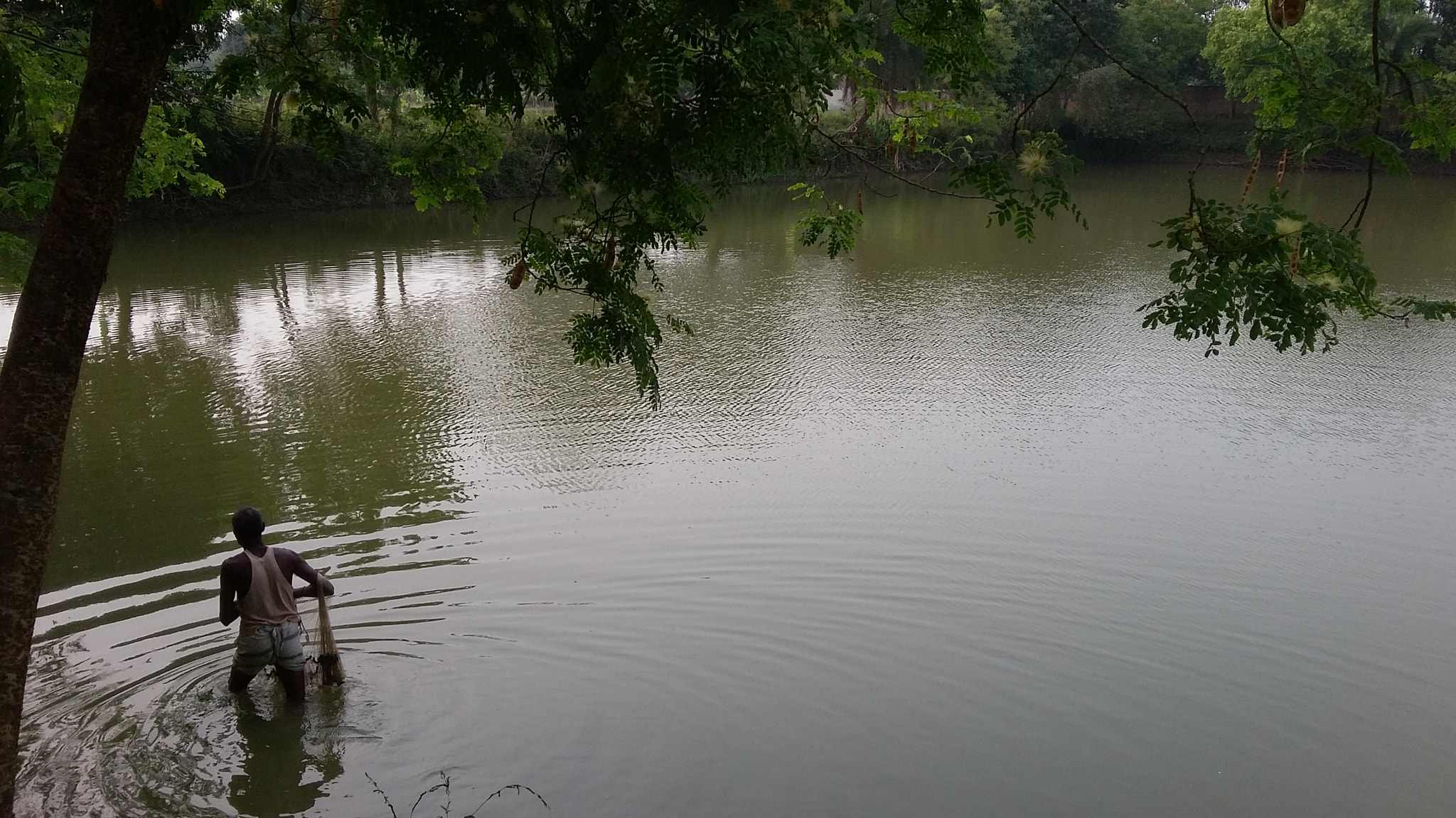 Samsung Galaxy E5 sample photo. Hard working. photography