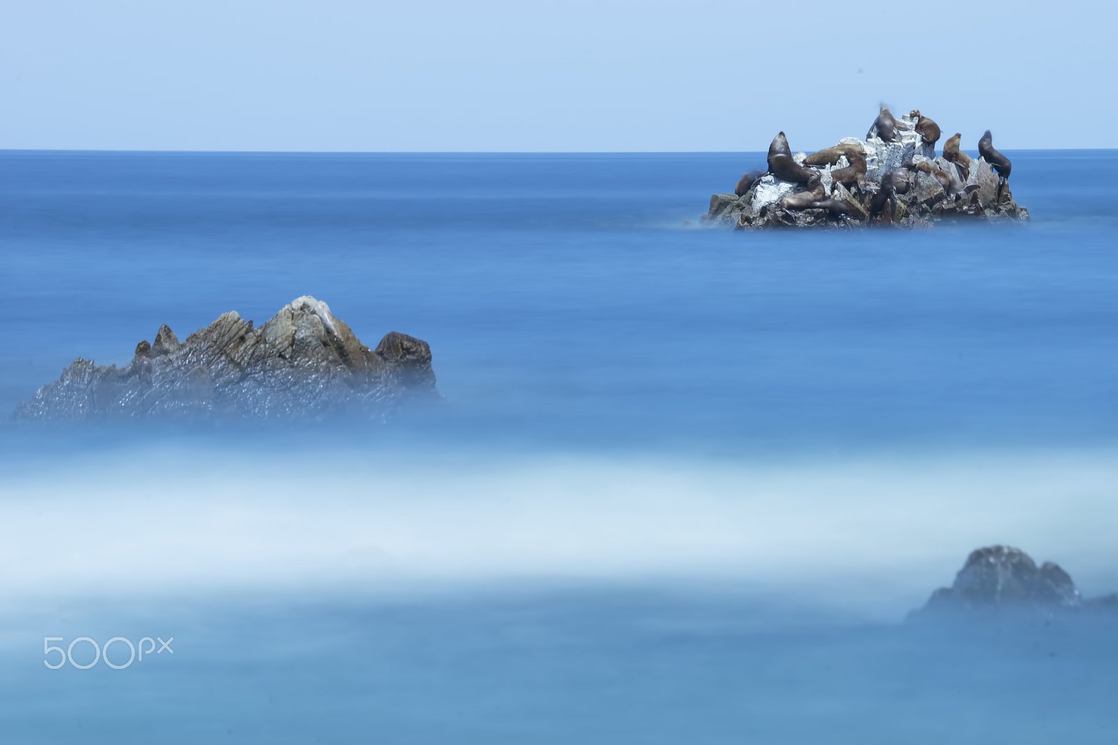 Sony 70-400mm F4-5.6 G SSM II sample photo. Vida en la guanera photography