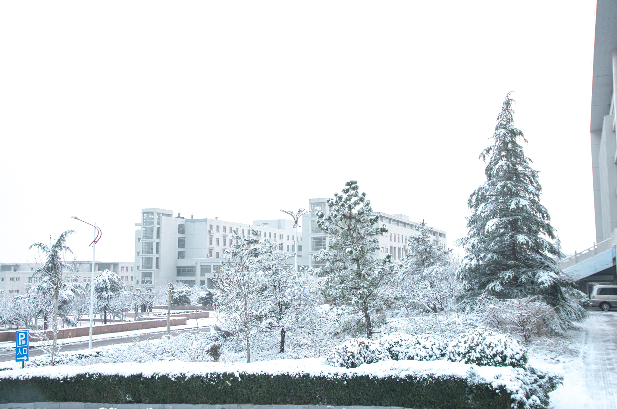 Pentax K-5 IIs sample photo