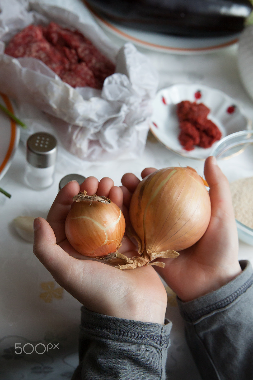 Canon EOS 50D + Canon EF 24-70mm F2.8L II USM sample photo. Child hands holding onions photography