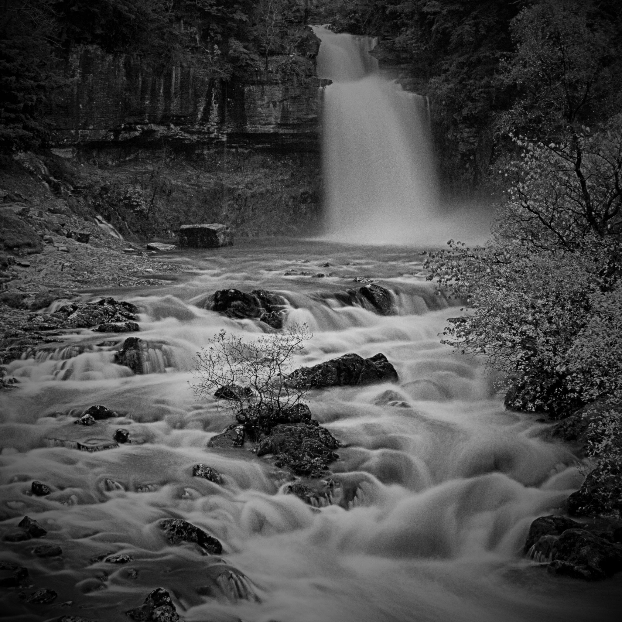 Sigma 18-200mm f/3.5-6.3 DC OS sample photo. B&w thornton force photography