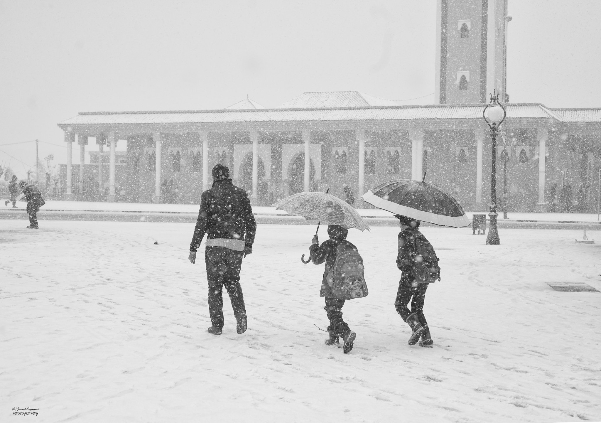 Nikon D700 + AF Nikkor 50mm f/1.8 sample photo. Cold day photography