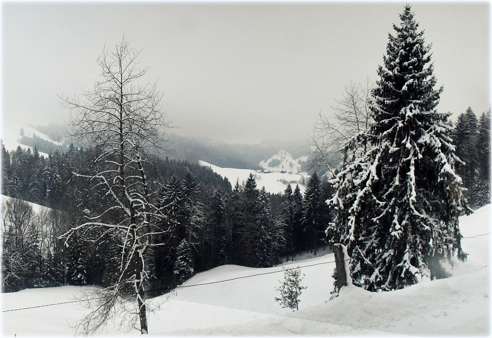 Nikon D810 sample photo. "just winter" photography