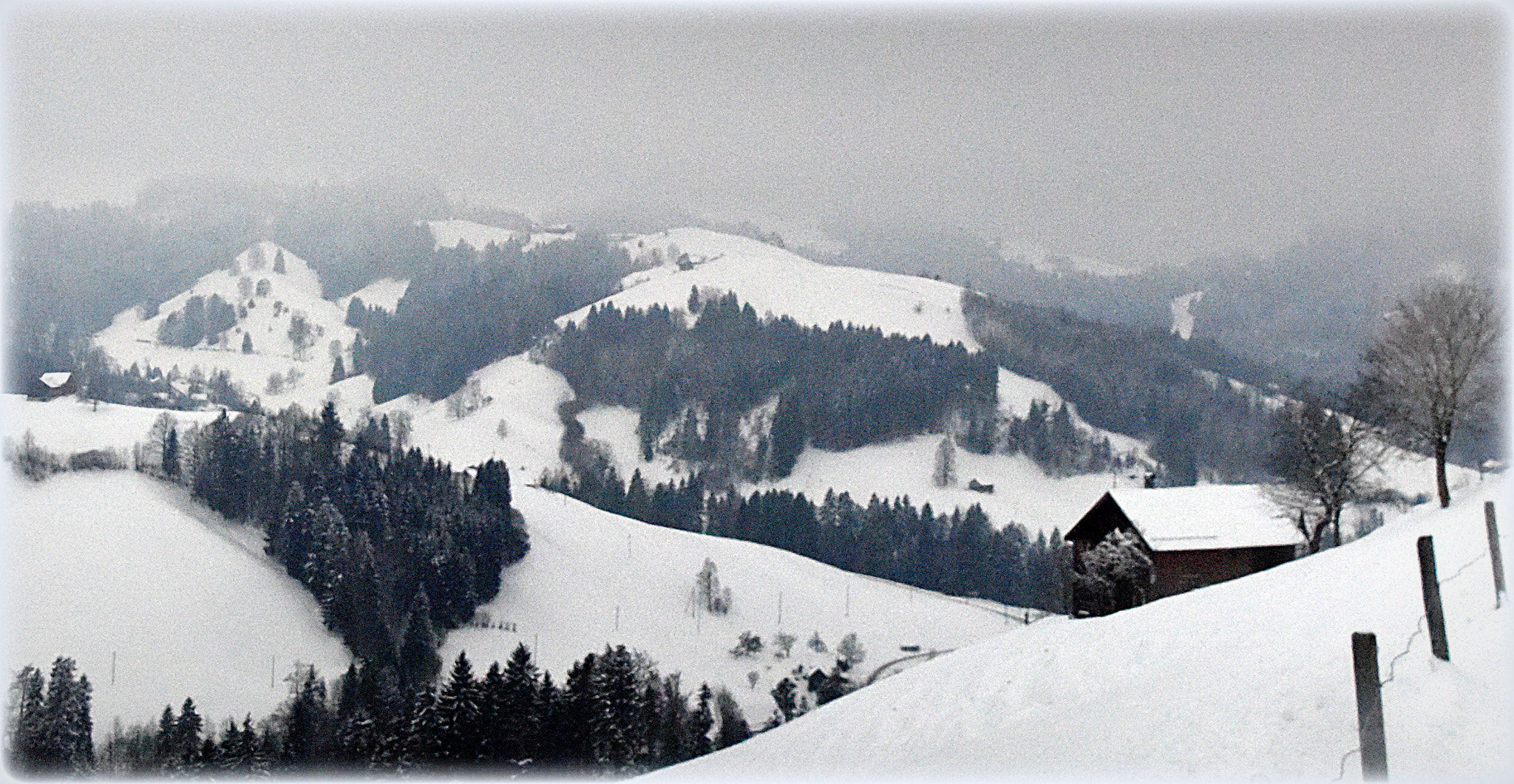 Nikon D810 sample photo. "winterday" photography