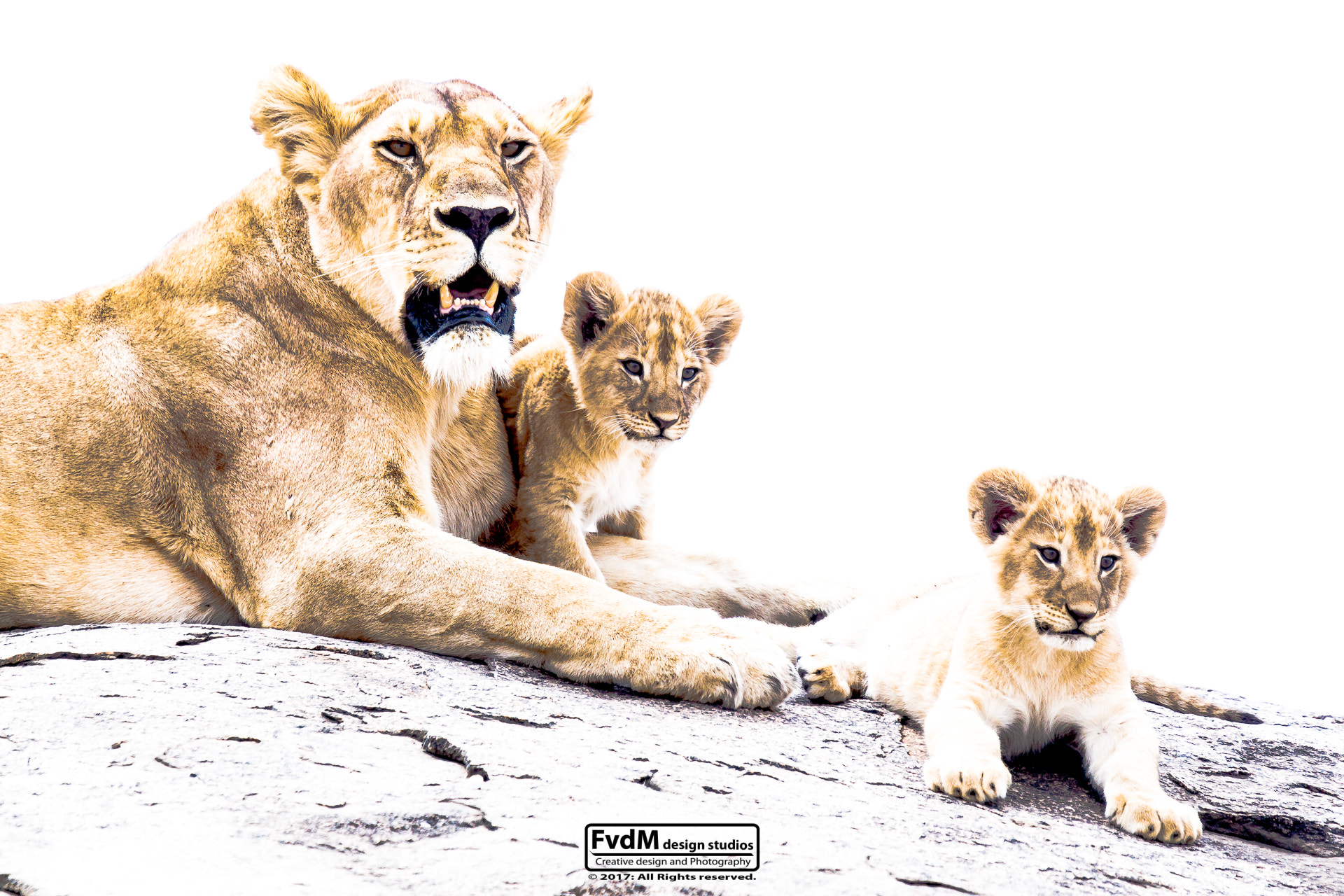 Sony 70-400mm F4-5.6 G SSM sample photo. Family moment... photography