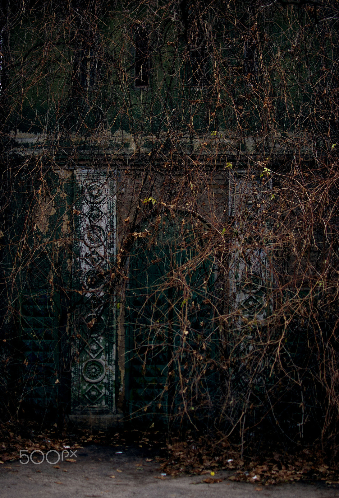 Nikon D80 sample photo. Abandoned photography