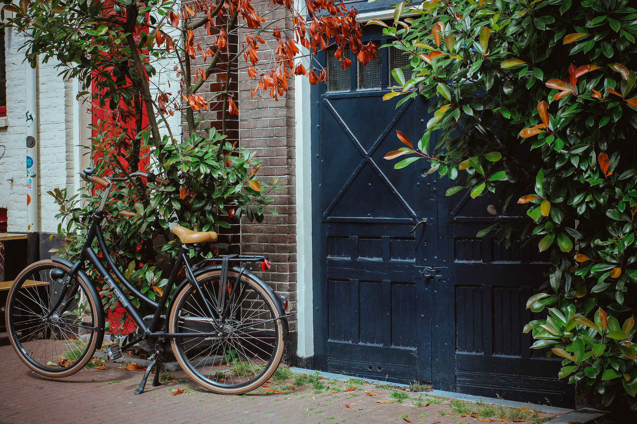 Canon EOS 650D (EOS Rebel T4i / EOS Kiss X6i) sample photo. Charmed by the doors of amsterdam photography