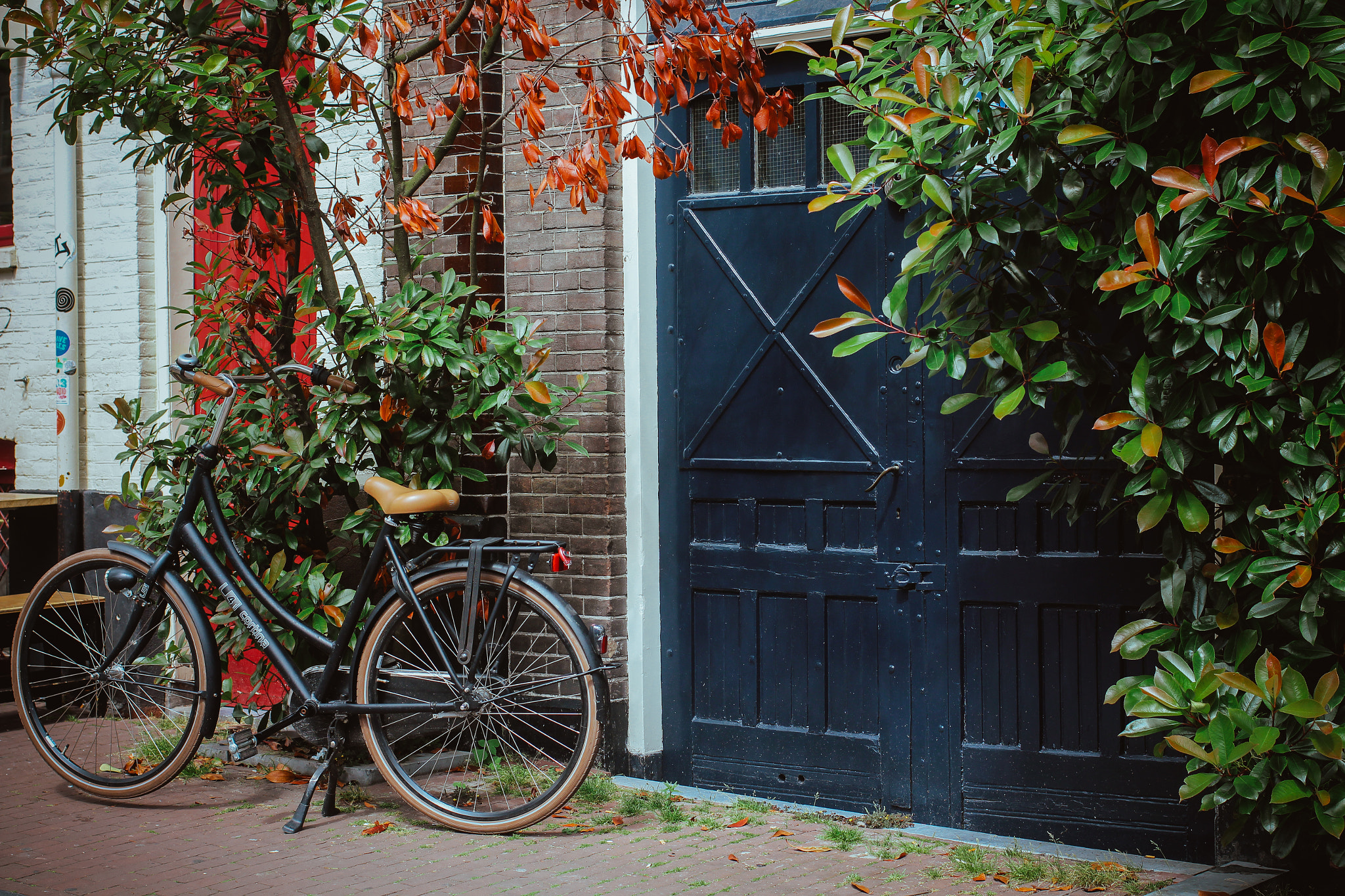 Canon EOS 650D (EOS Rebel T4i / EOS Kiss X6i) + Canon EF 40mm F2.8 STM sample photo. Charmed by the doors of amsterdam photography
