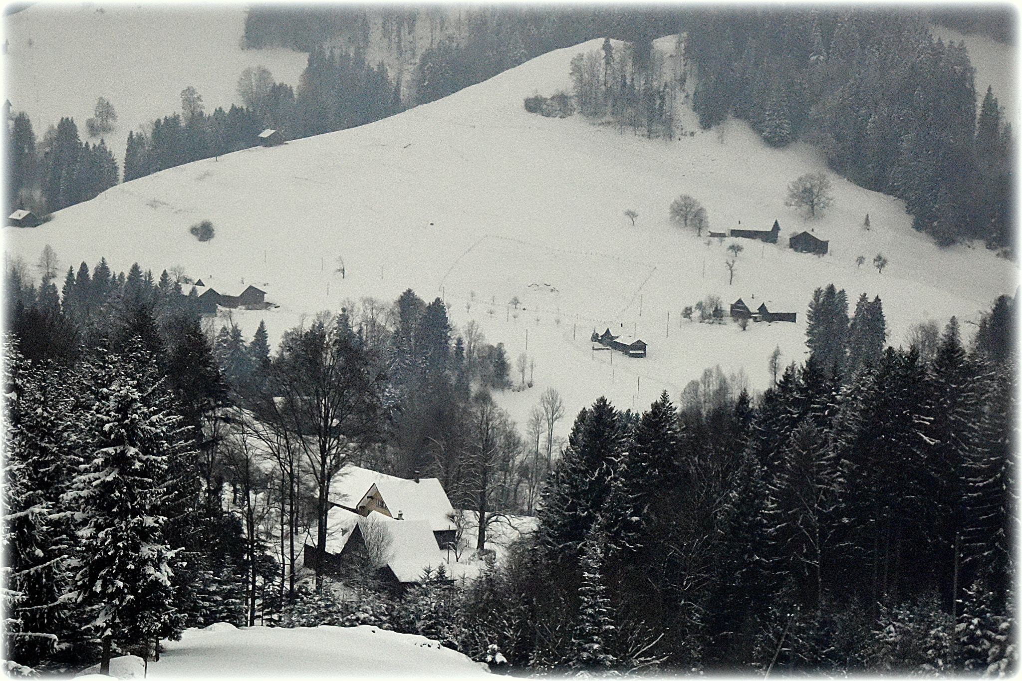 Nikon D810 sample photo. "winter day<" photography