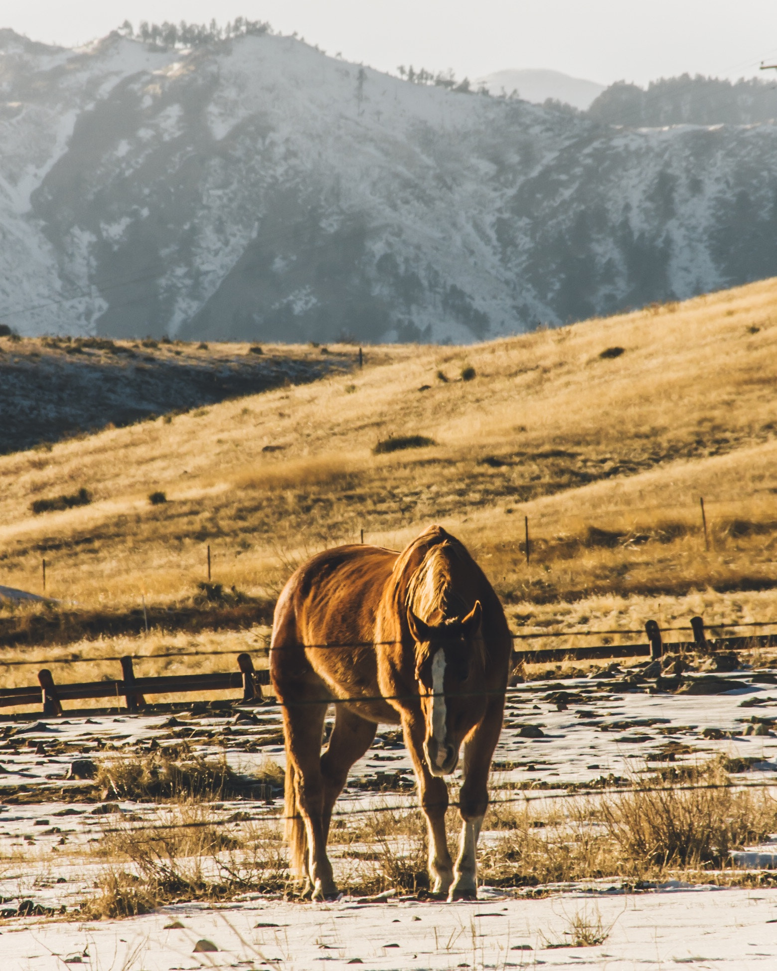 Pentax K-70 + HD Pentax DA 55-300mm F4.0-5.8 ED WR sample photo. Rocky mountain high photography