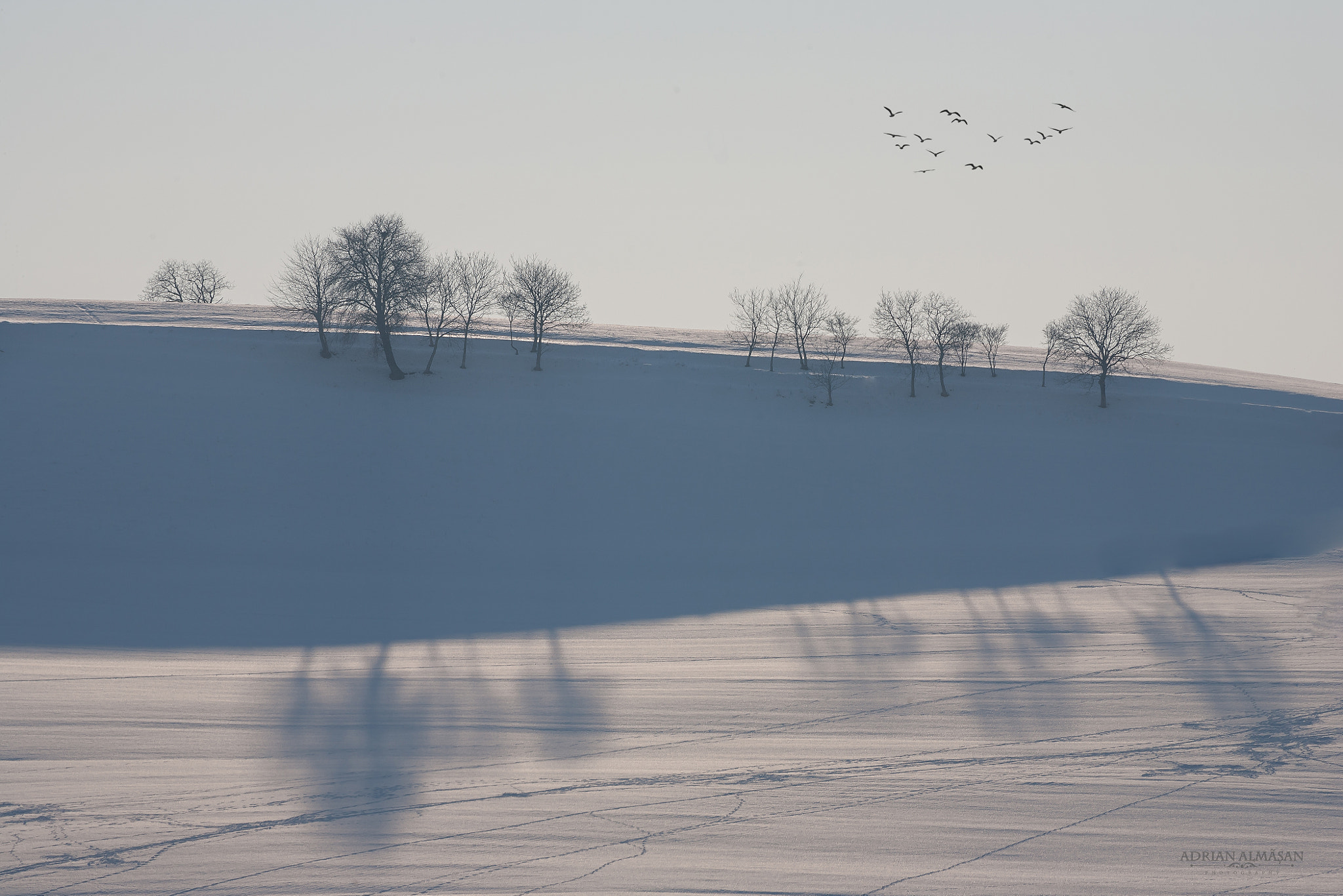 Canon EOS 5D sample photo. "minimalist" photography