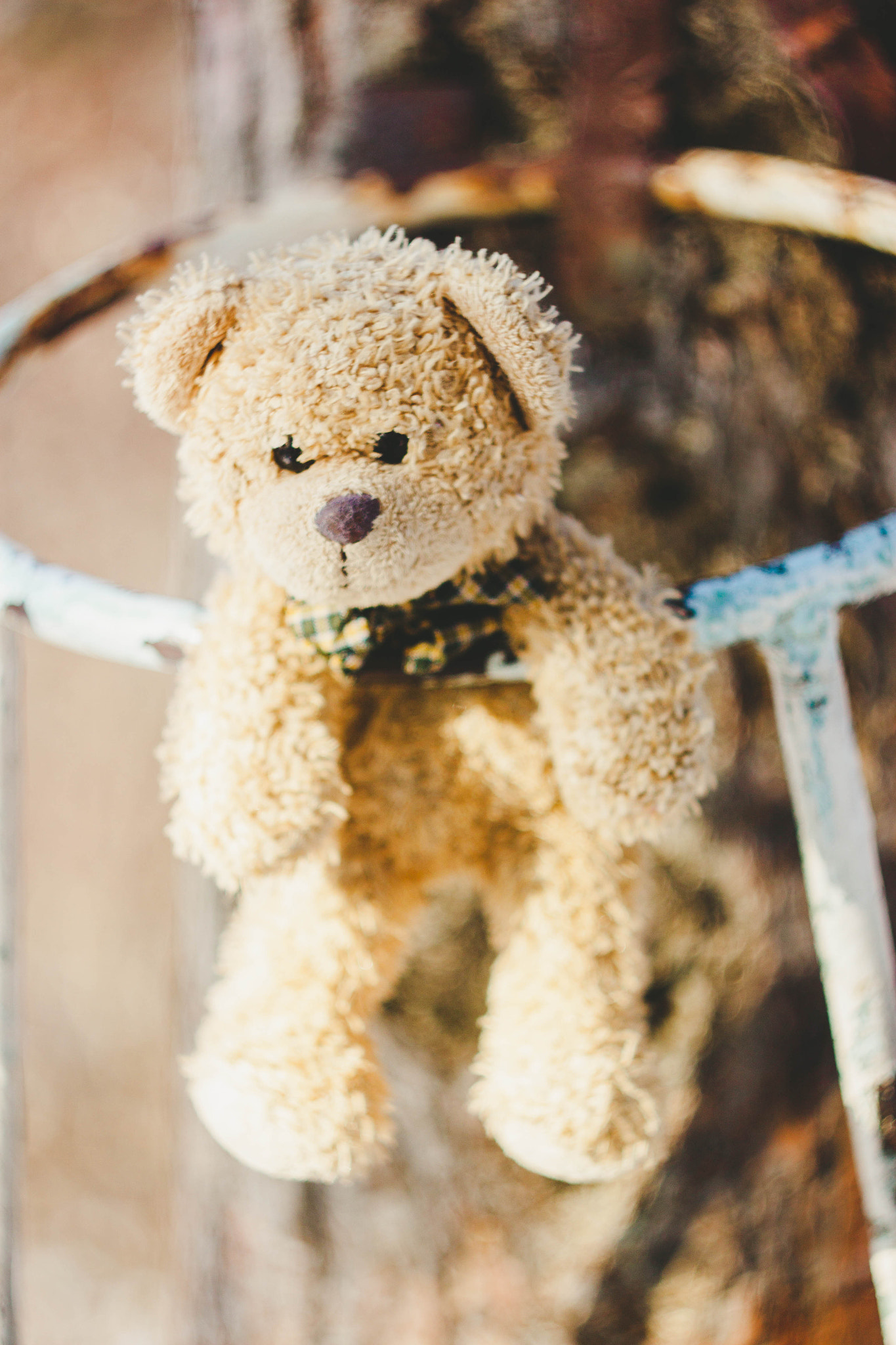 Canon EF 35-80mm f/4-5.6 sample photo. Teddy bear photography