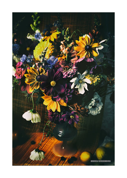 Nikon AF-S Micro-Nikkor 60mm F2.8G ED sample photo. . photography