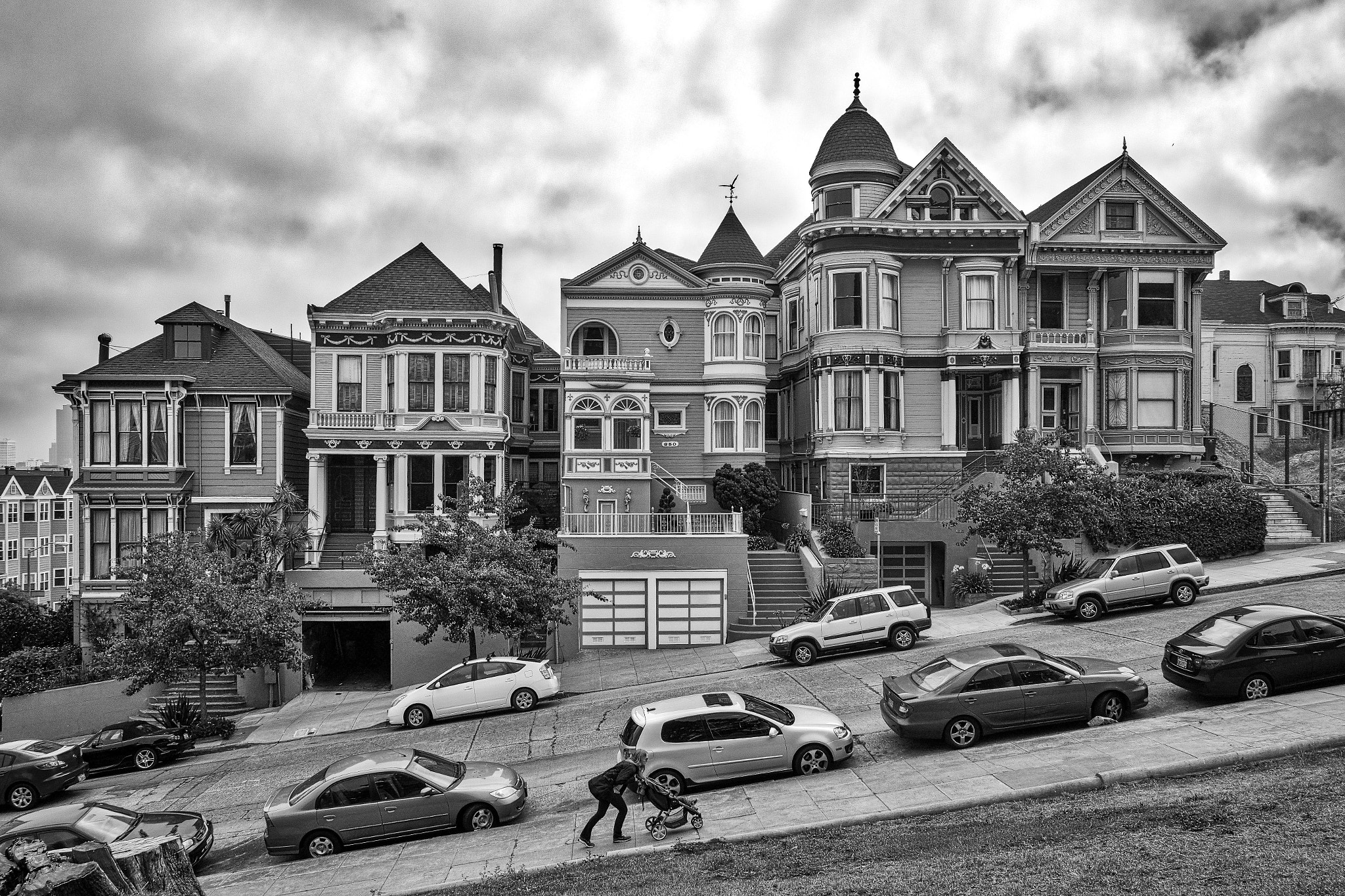 Sigma dp1 Quattro sample photo. Painted ladies photography