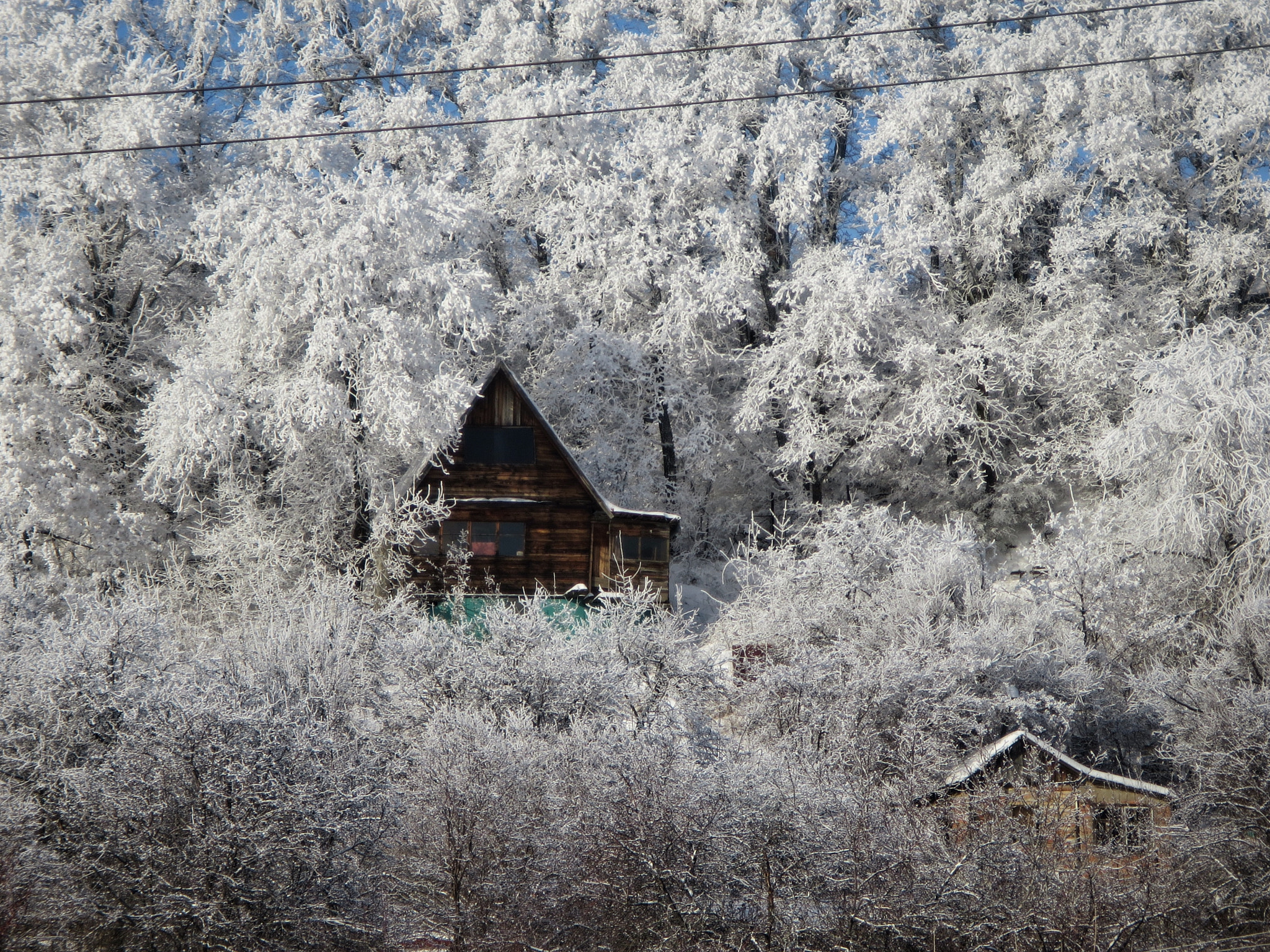 Canon PowerShot N sample photo. Cozy place photography