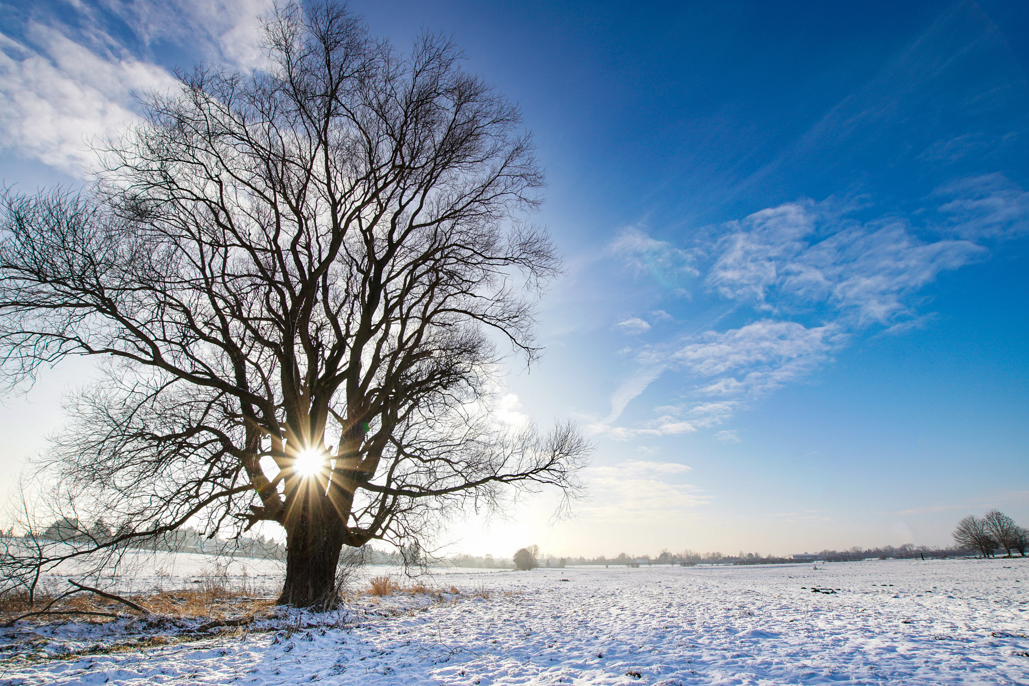 Sony ILCA-77M2 + 10-20mm F3.5 sample photo. Snow photography