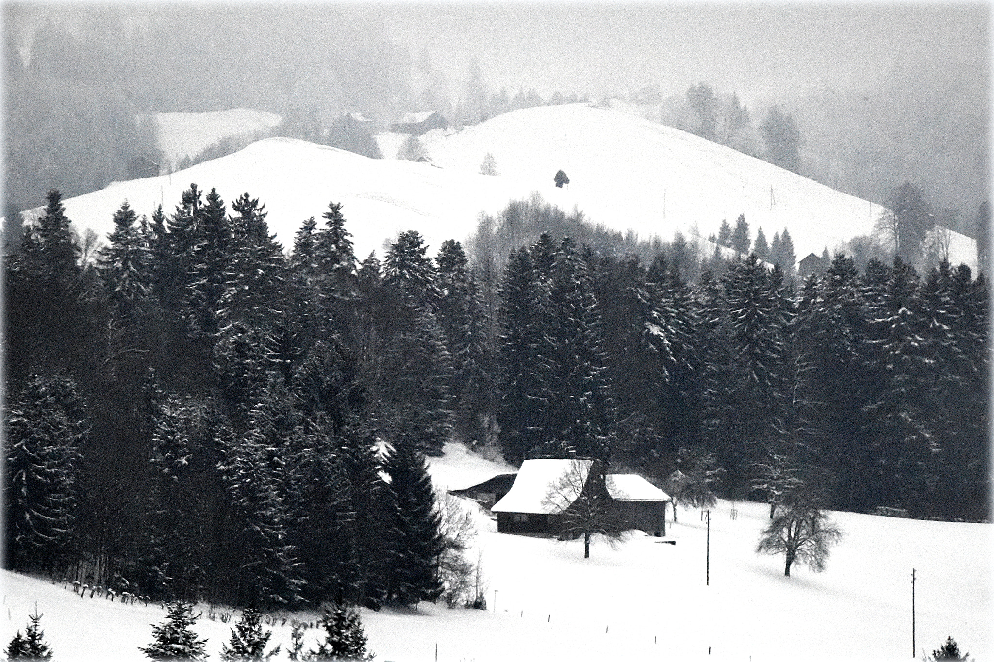 Nikon D810 sample photo. "winters day" photography