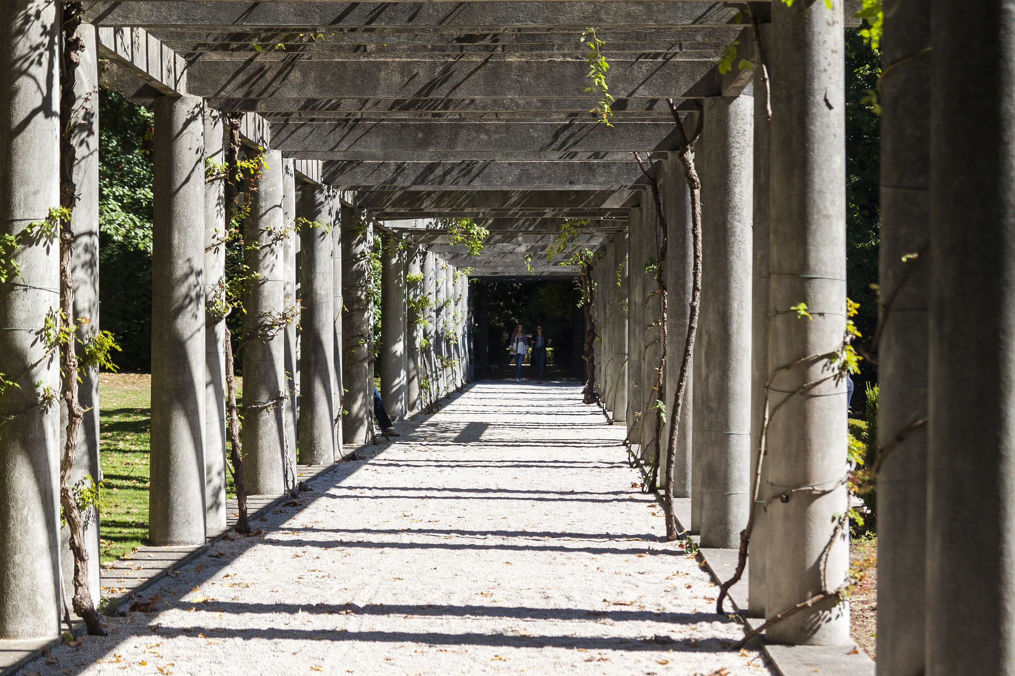 Tamron SP AF 17-50mm F2.8 XR Di II LD Aspherical (IF) sample photo. Garden tunnel photography