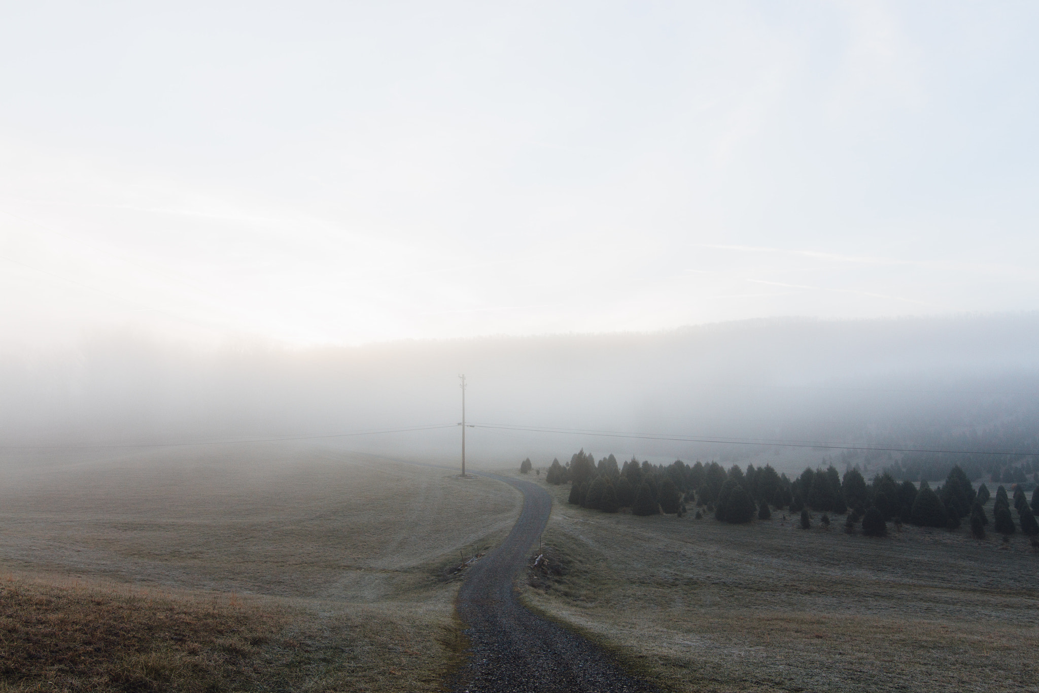 Canon EOS 700D (EOS Rebel T5i / EOS Kiss X7i) sample photo. Beautiful morning photography