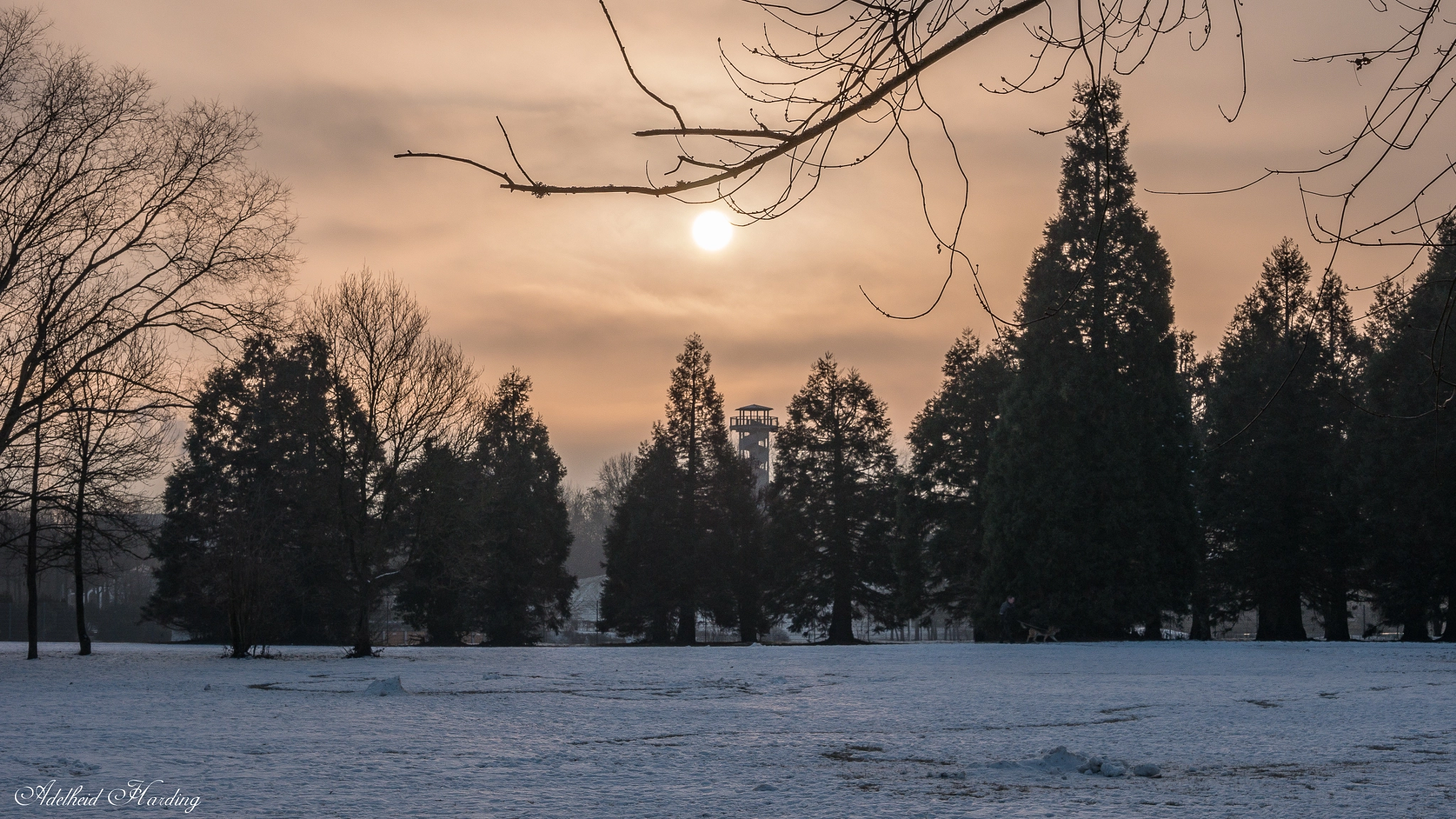 LUMIX G VARIO 35-100/F4.0-5.6 sample photo. Seepark in winter photography