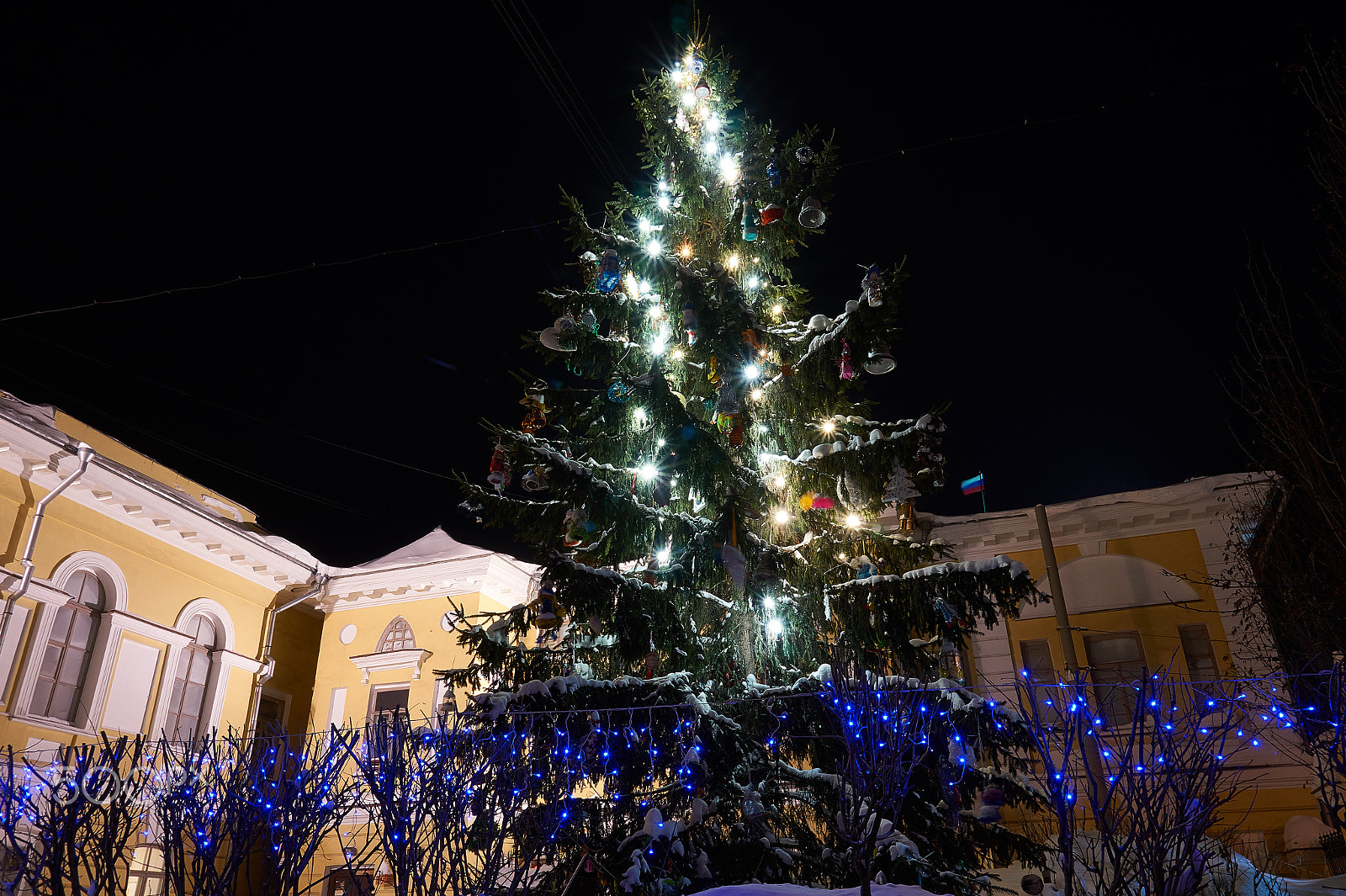 Sony Alpha a5000 (ILCE 5000) sample photo. X-mas tree photography