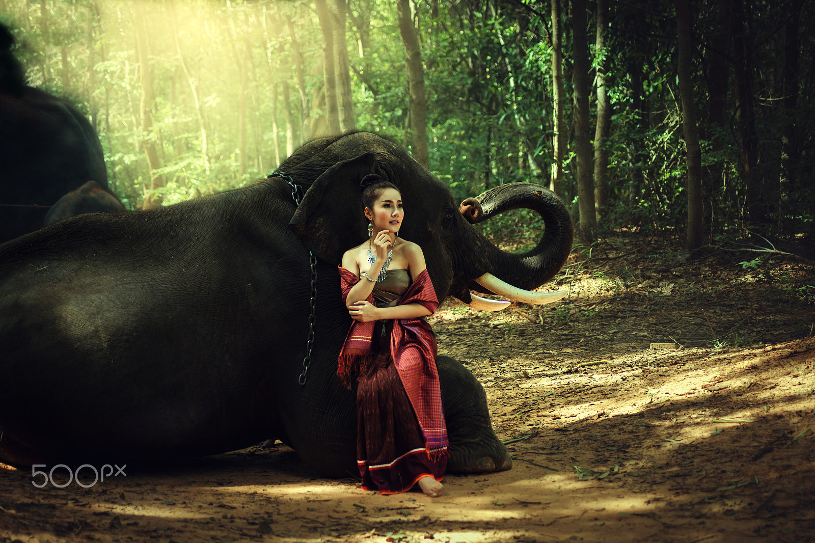 Canon EOS 6D + Tamron AF 70-300mm F4-5.6 Di LD Macro sample photo. Woman with elephant photography